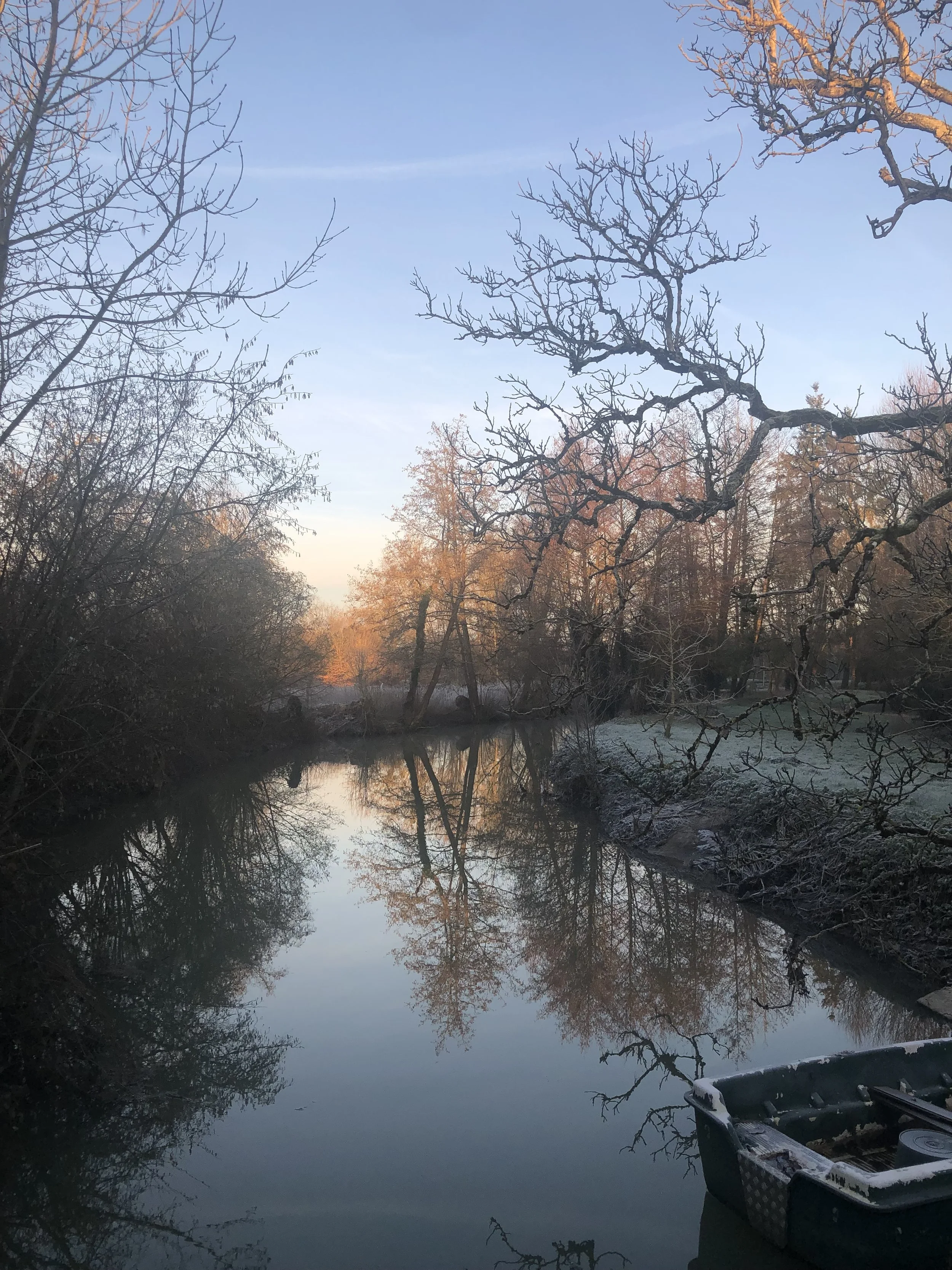 IMG_8060.jpeg
