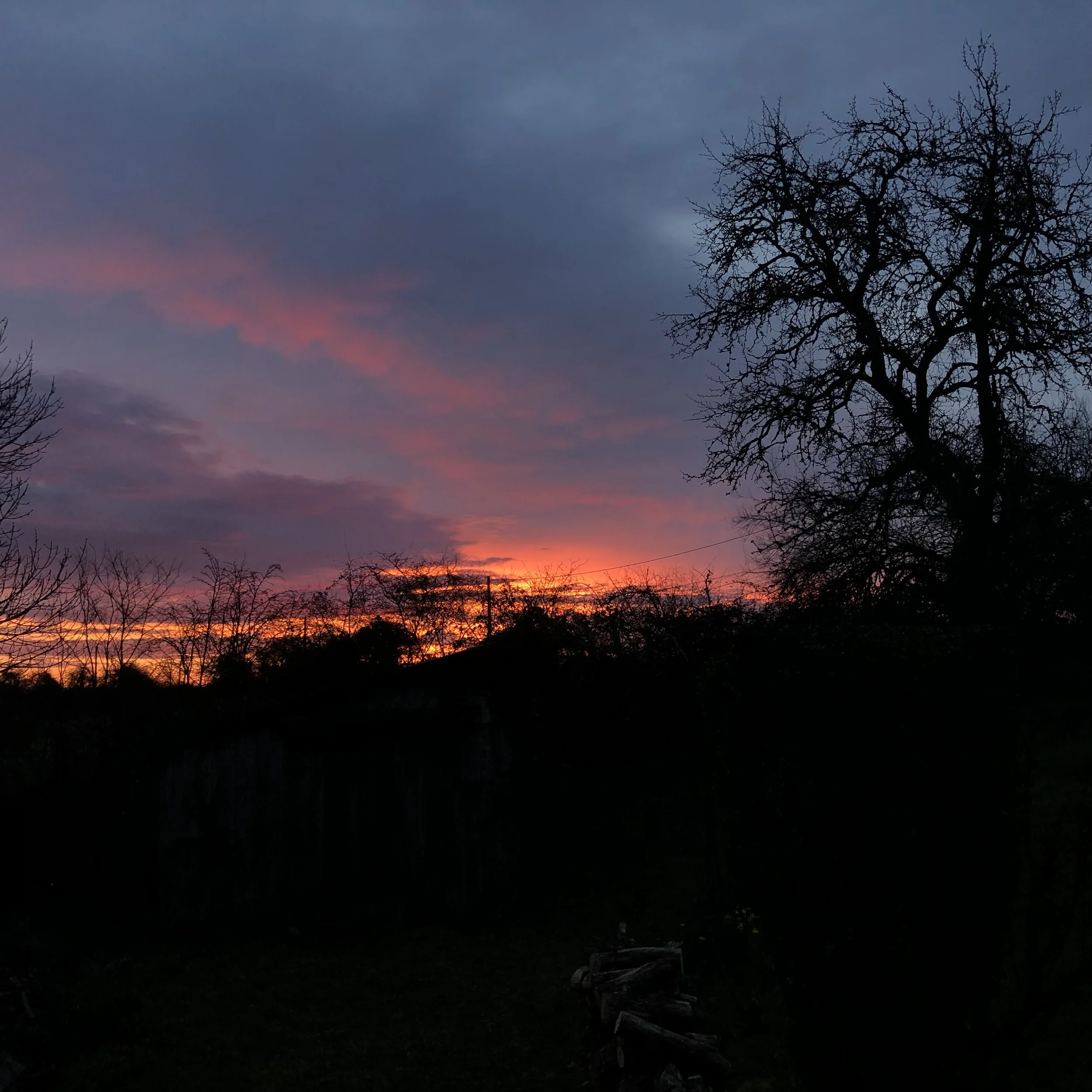 IMG_4483.jpeg
