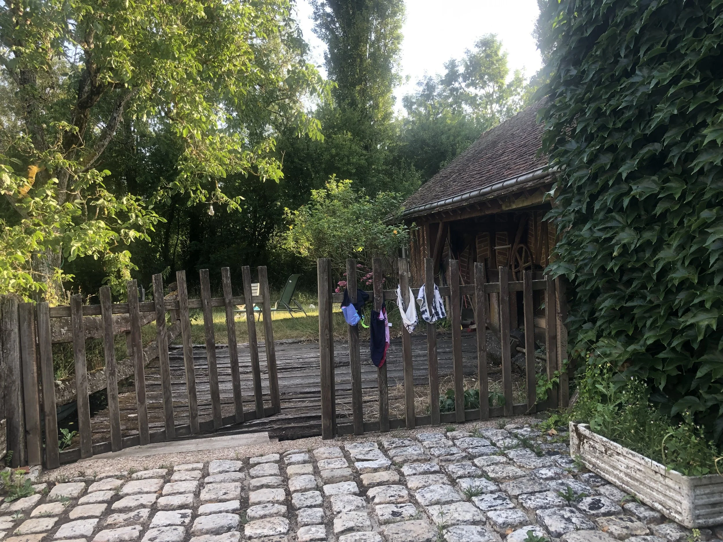 IMG_1160.jpeg
