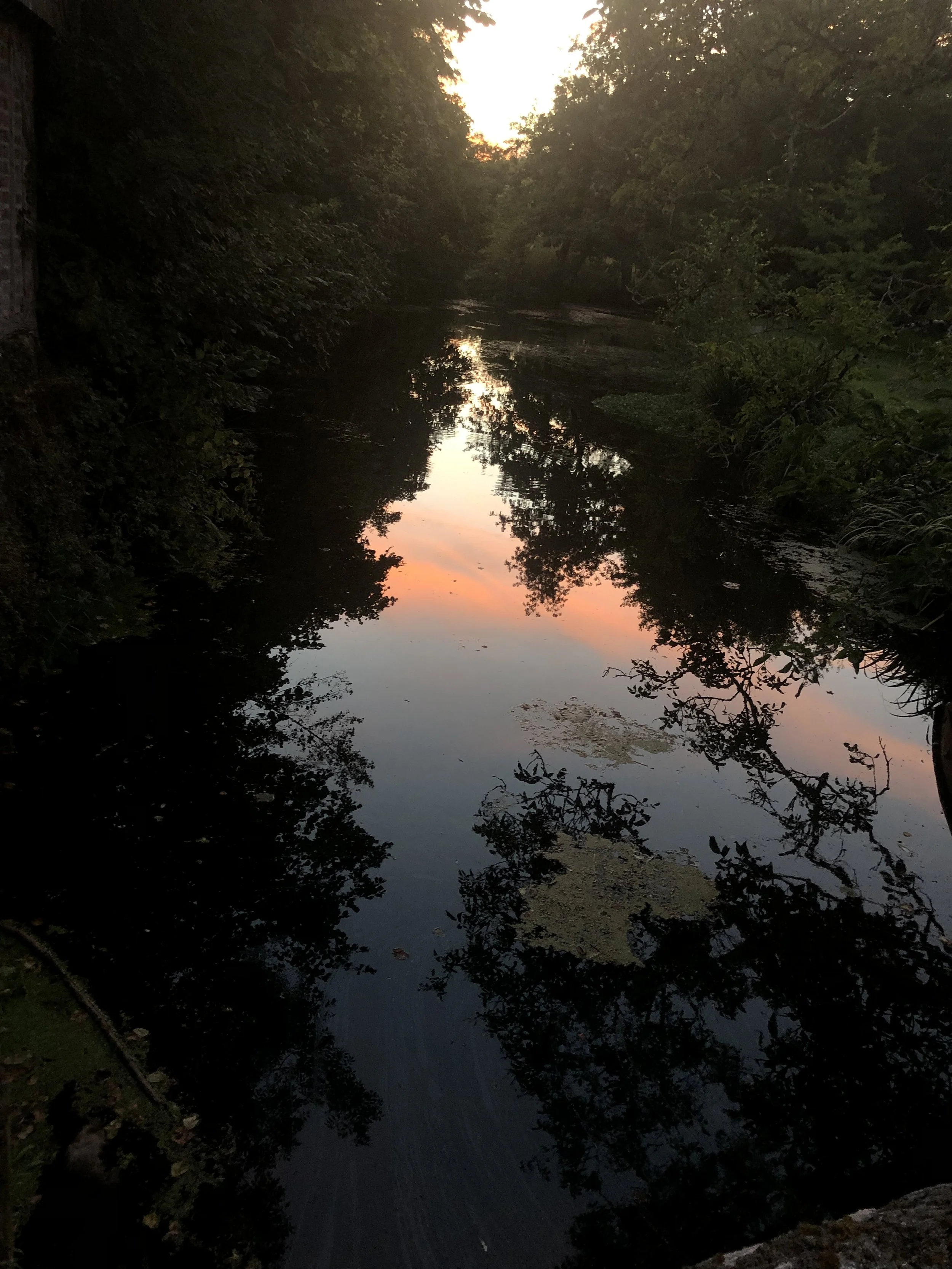IMG_4404.jpeg