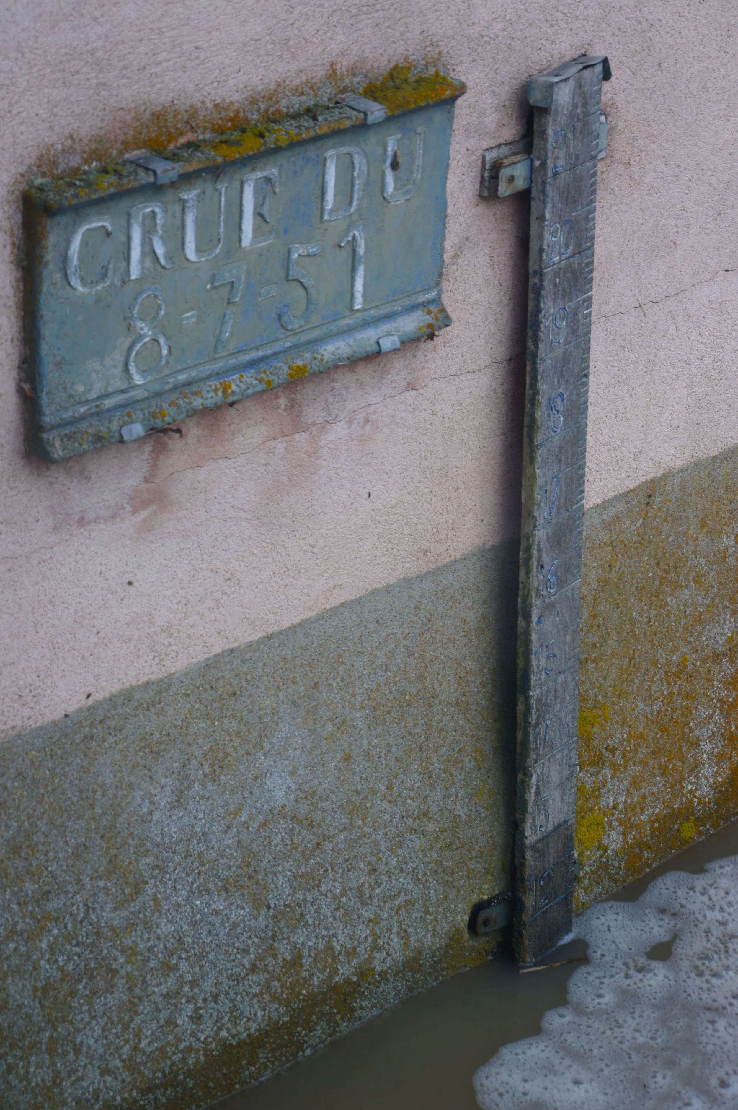 DSC05445.JPG