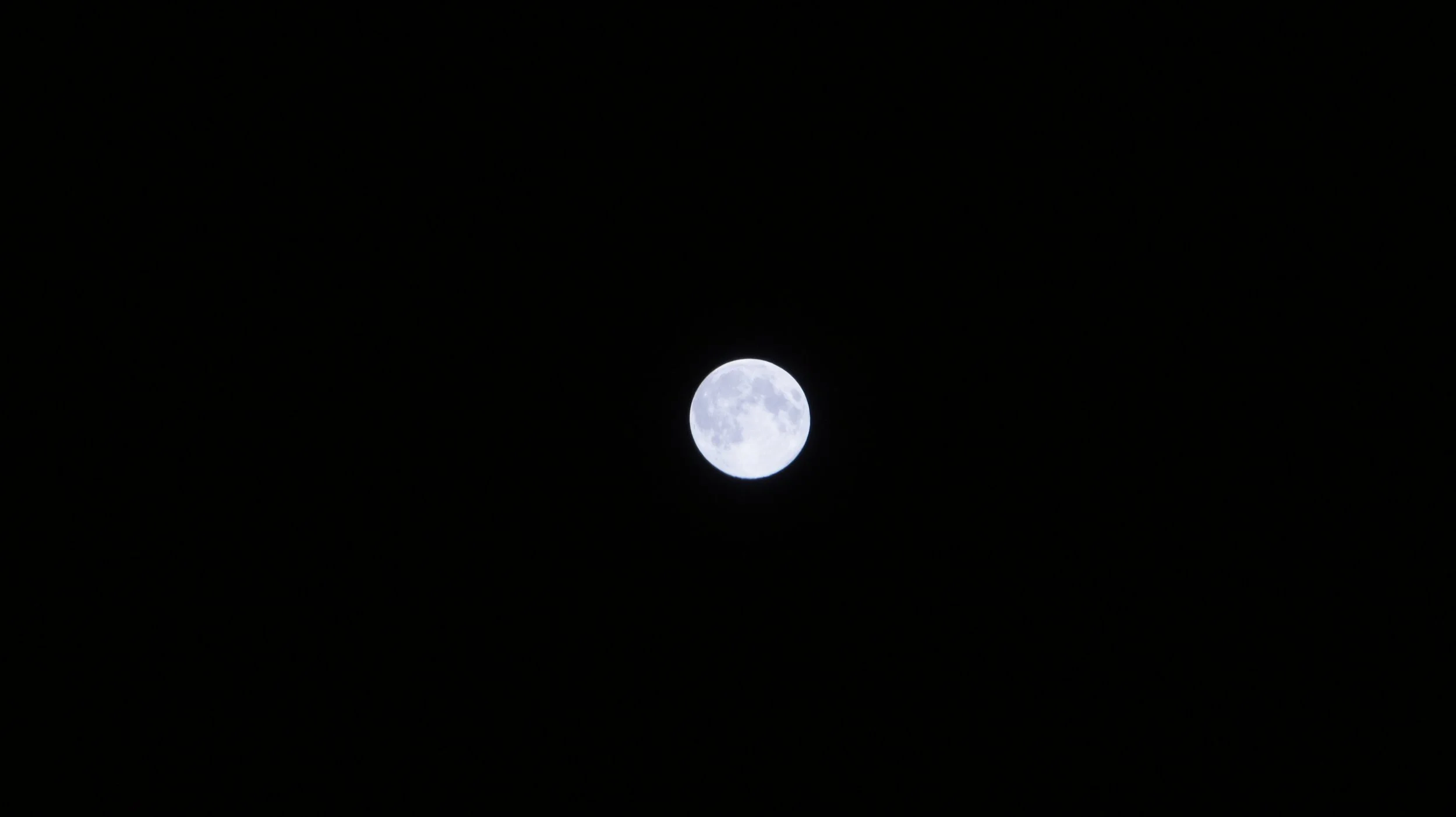 DSC01016.JPG