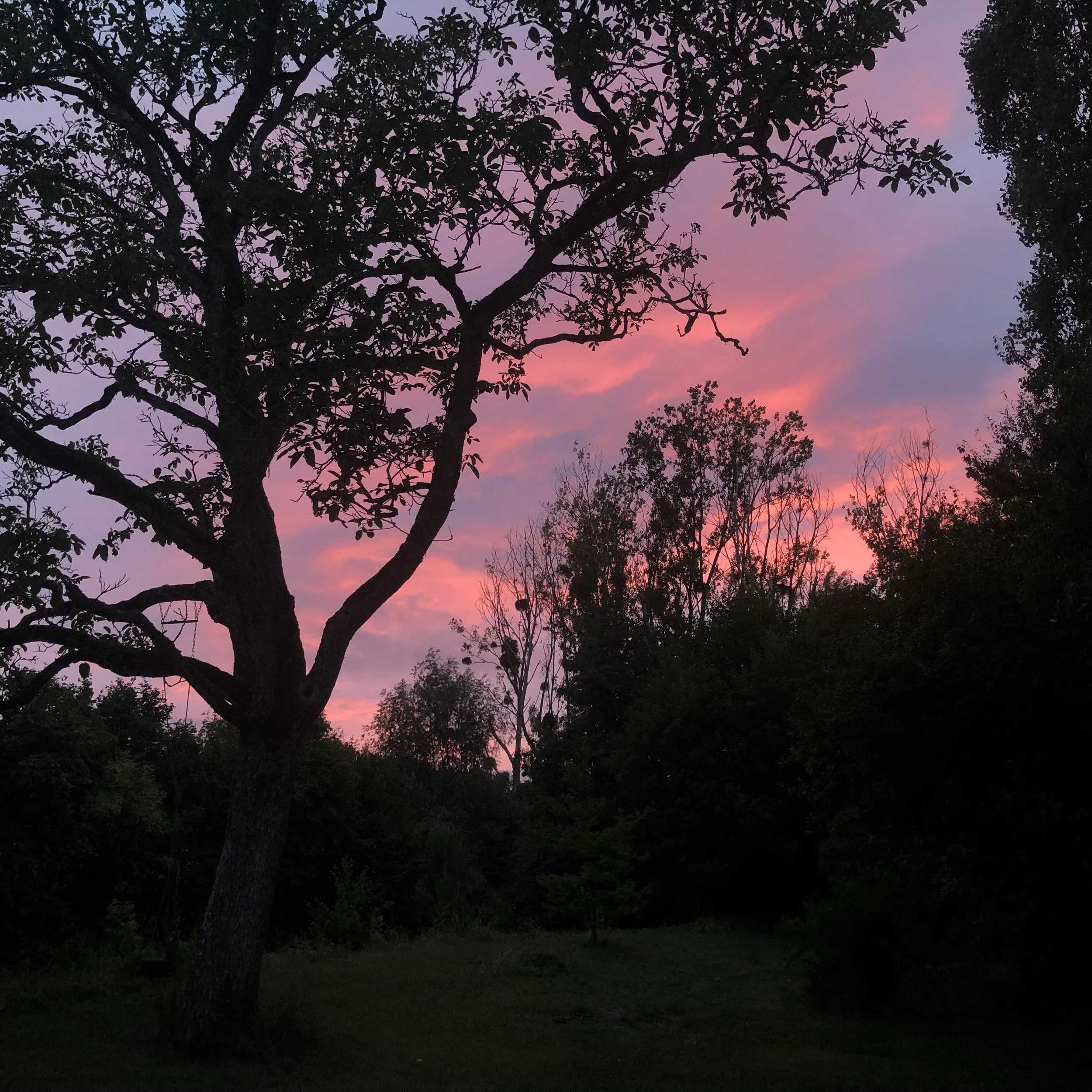 IMG_6509.jpeg
