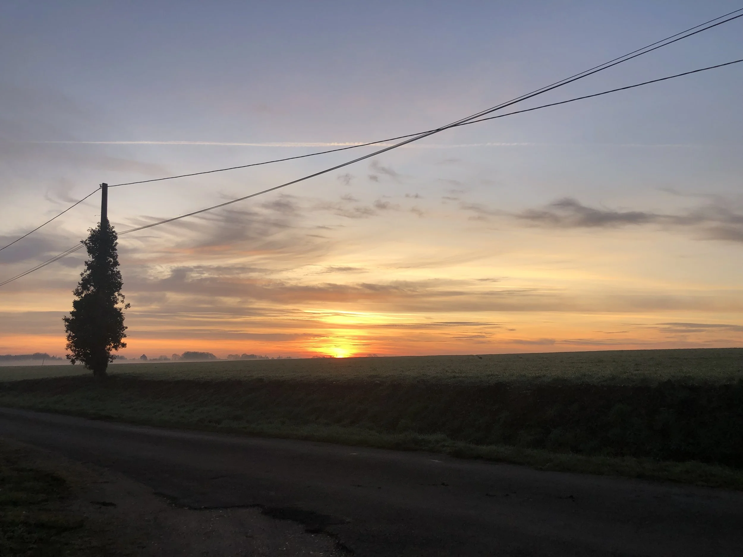 IMG_0316.jpeg