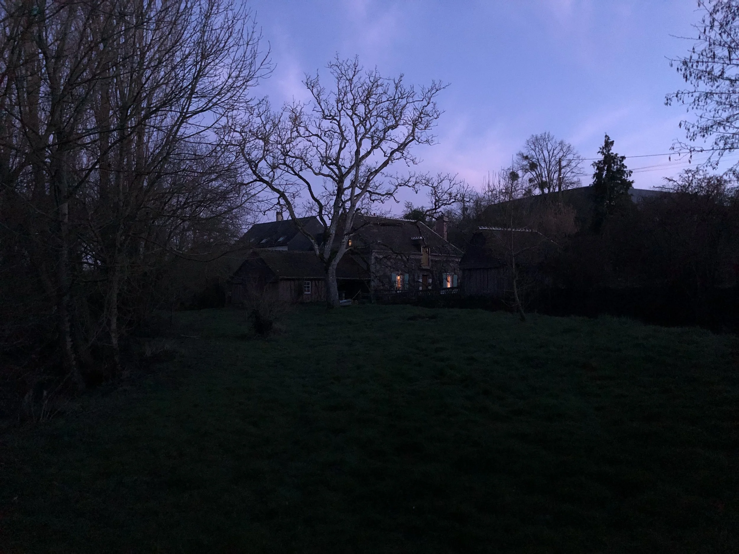IMG_8845.jpeg