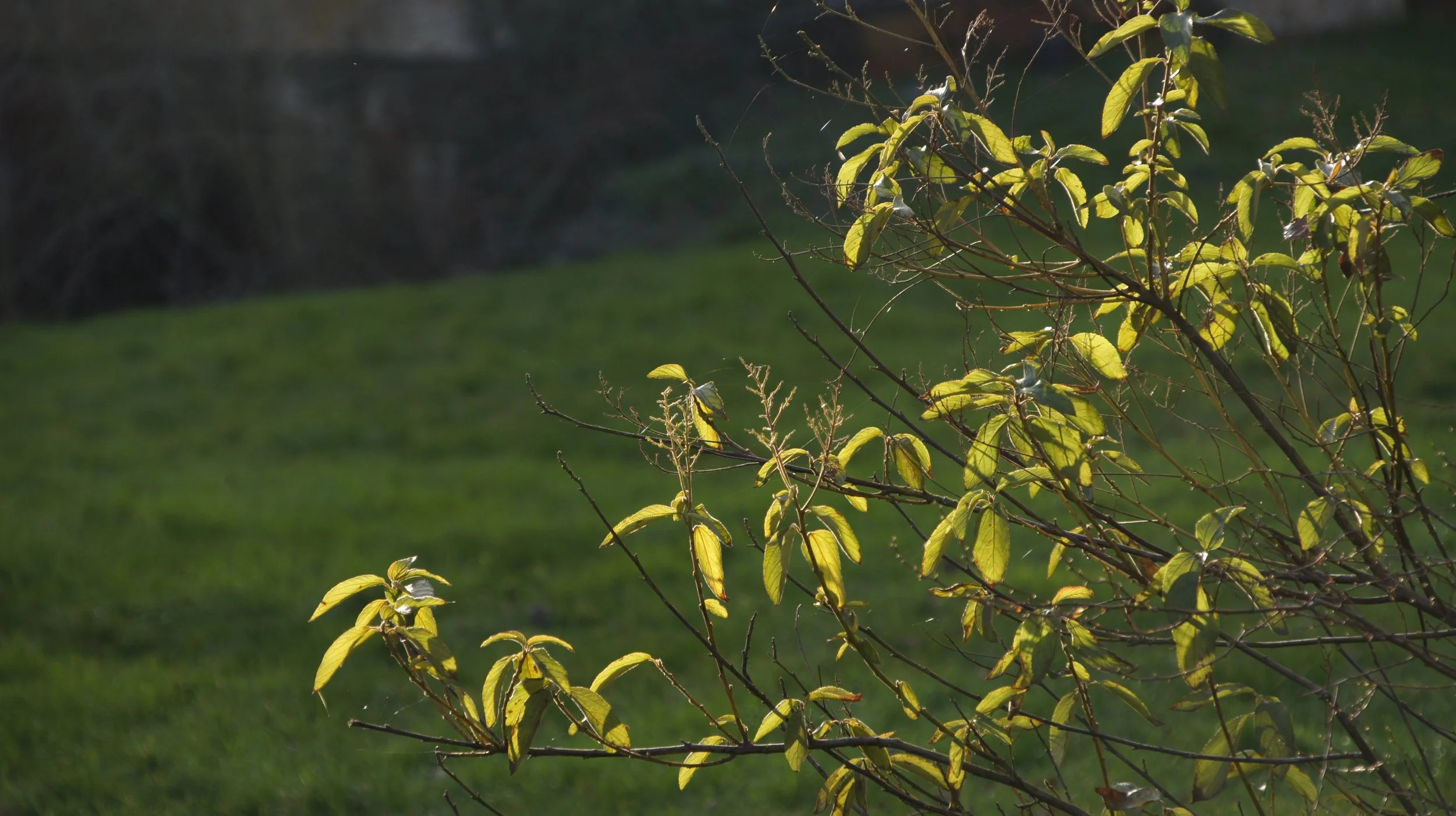 DSC05614.JPG