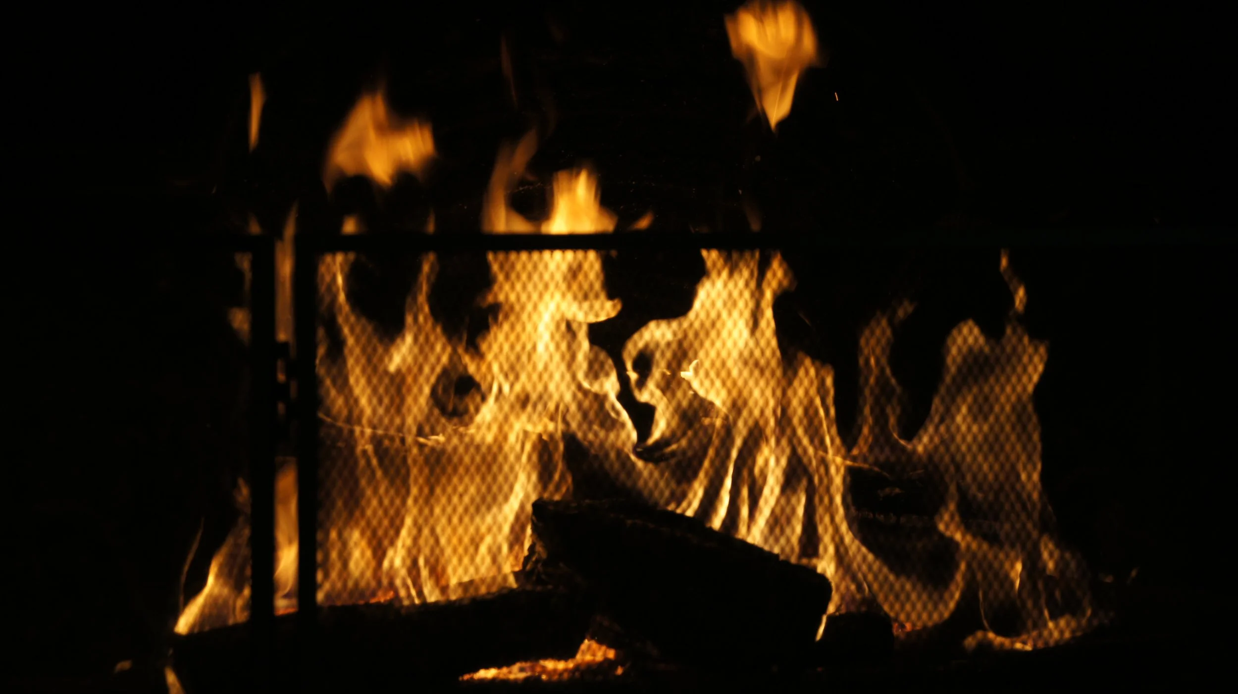 DSC05169.JPG