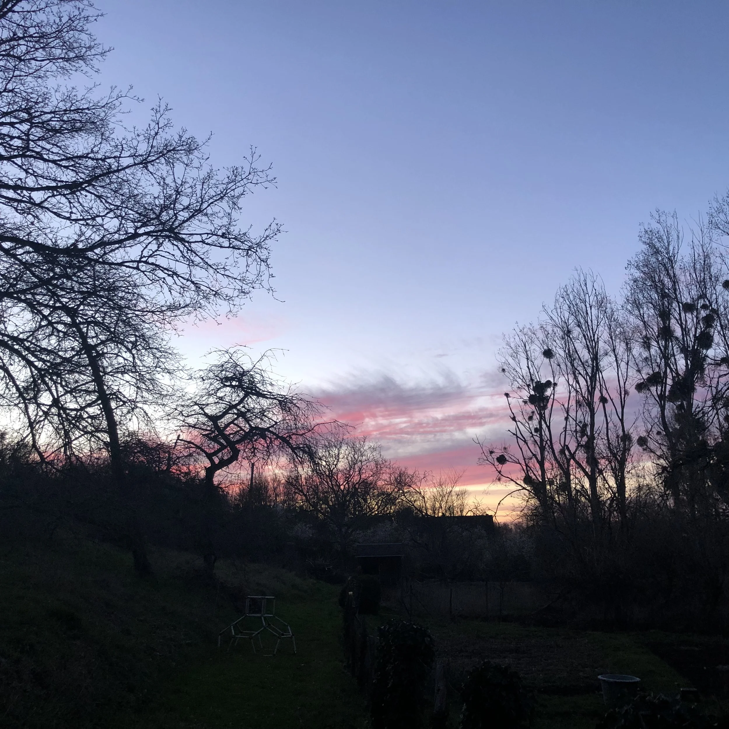 IMG_4632.jpeg