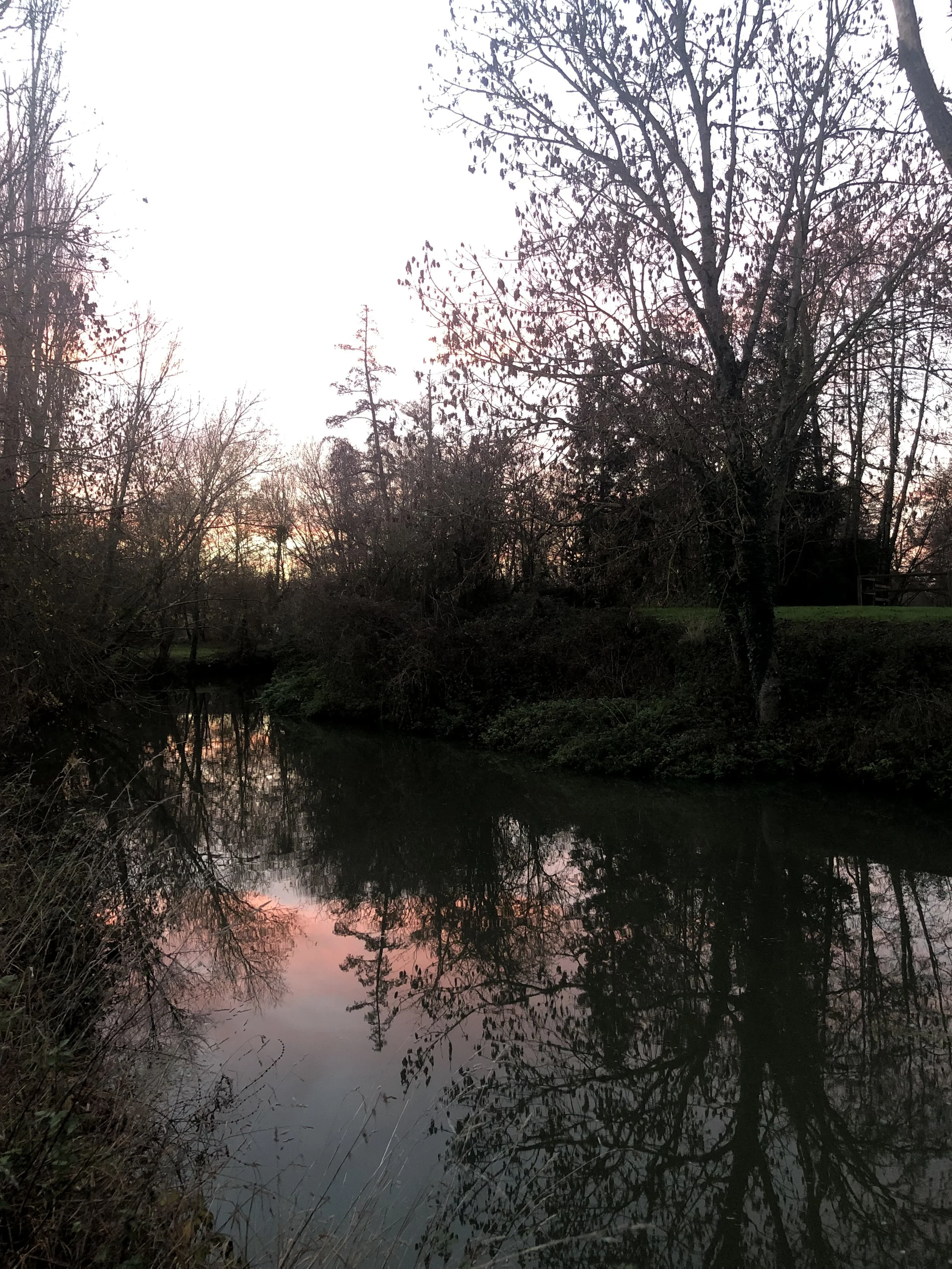 IMG_5949.jpeg