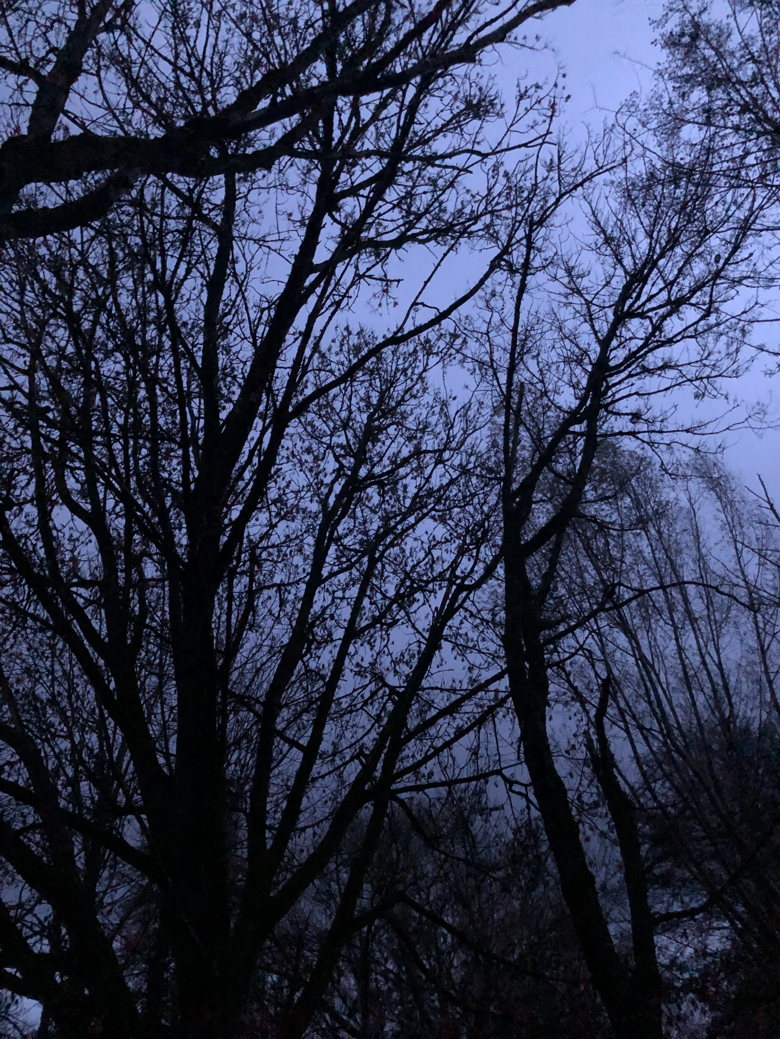 IMG_5756.jpeg
