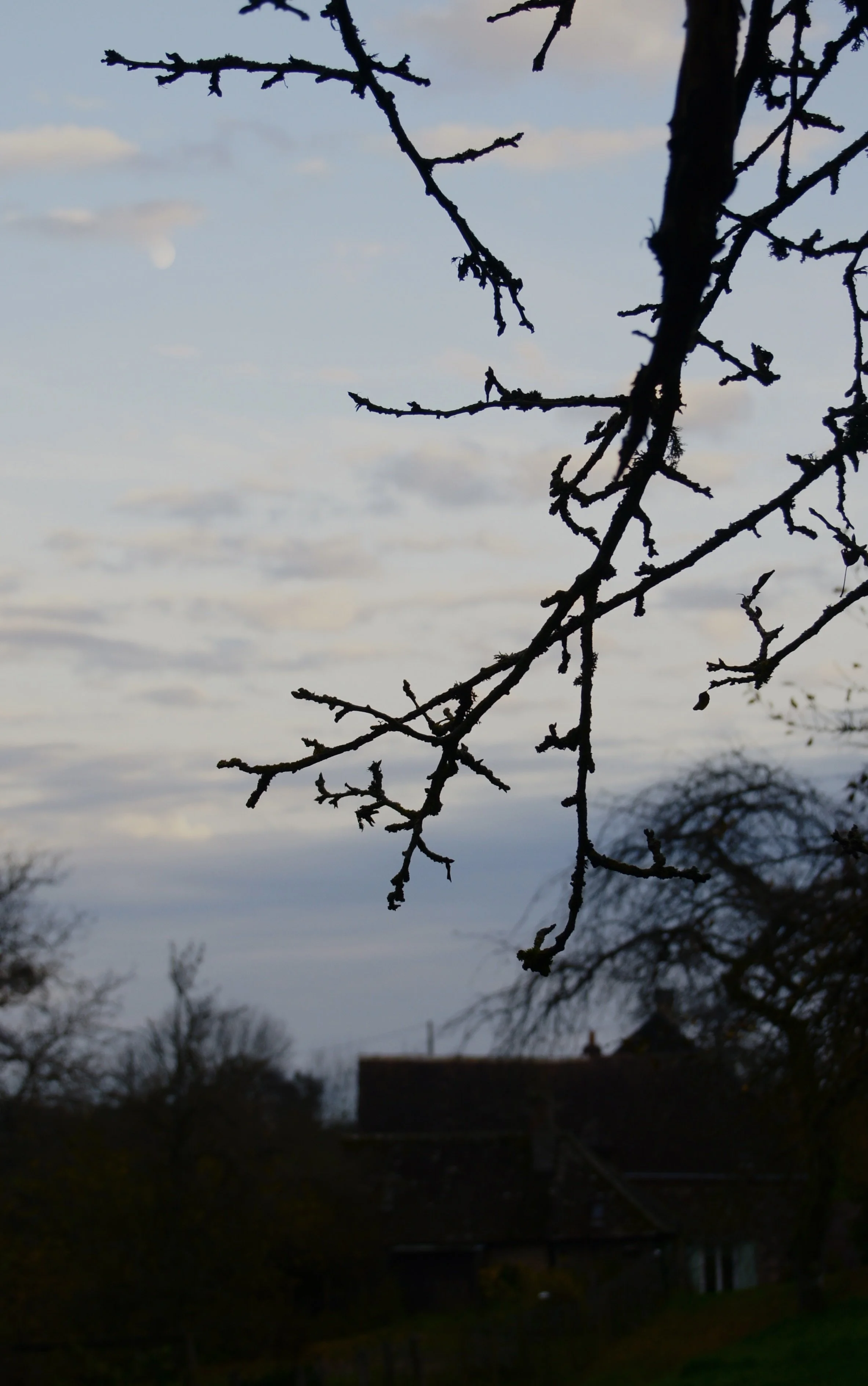 DSC04579.JPG
