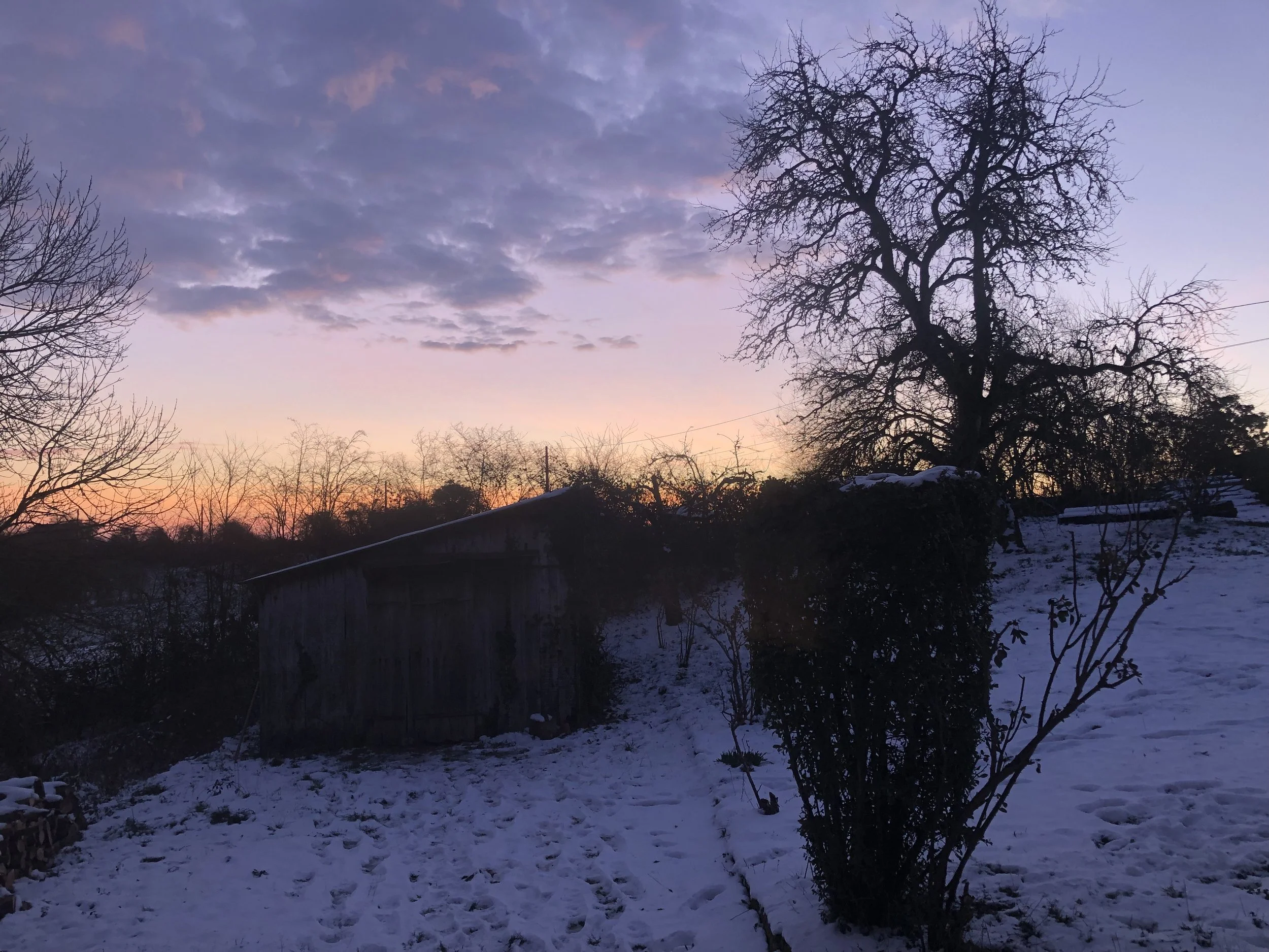 IMG_2456.jpeg