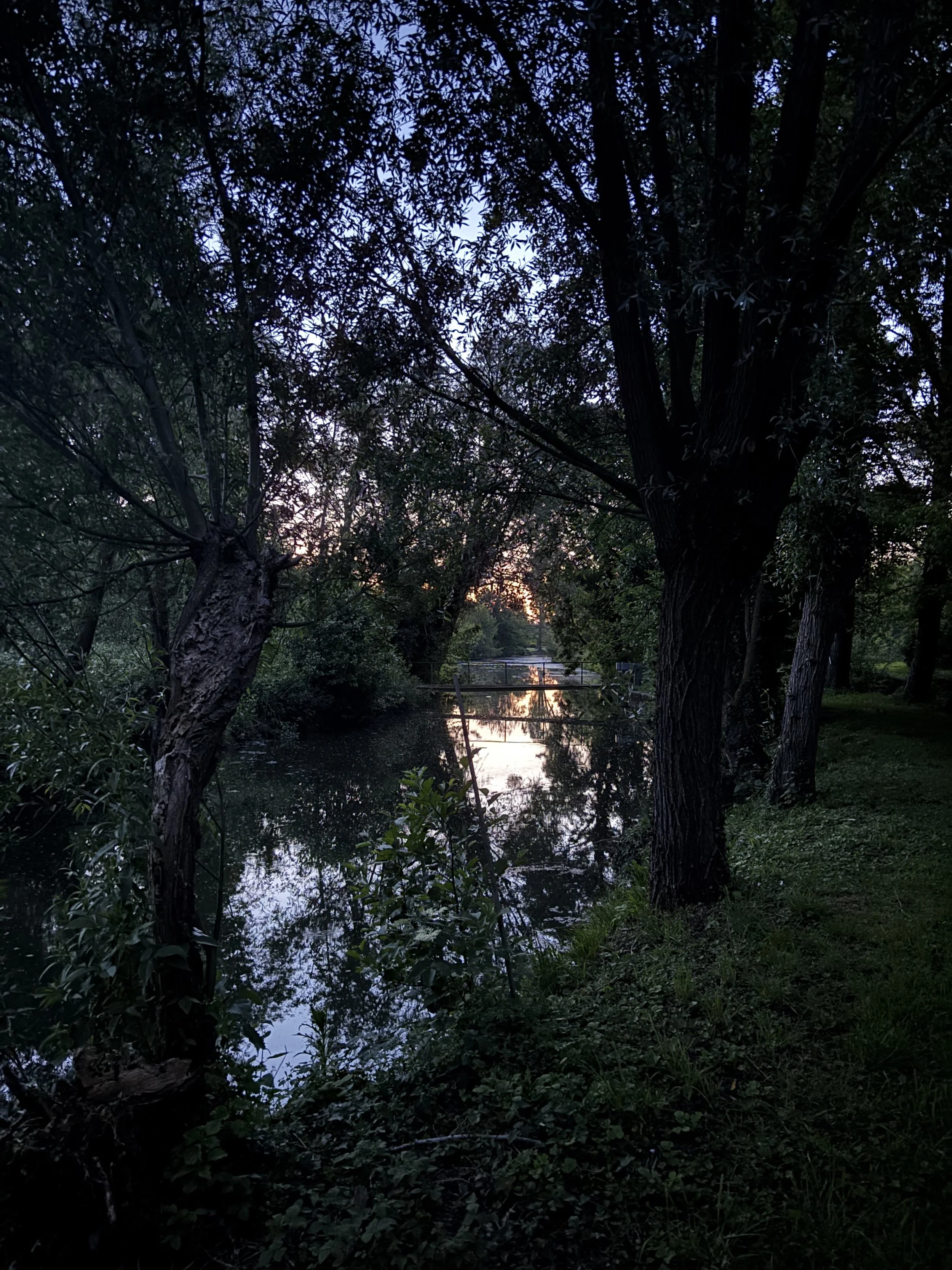 IMG_0047.jpeg