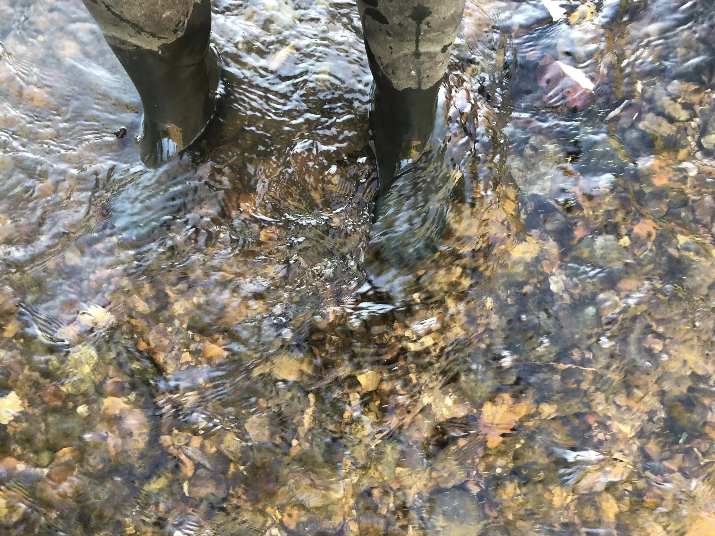 IMG_0631.jpeg