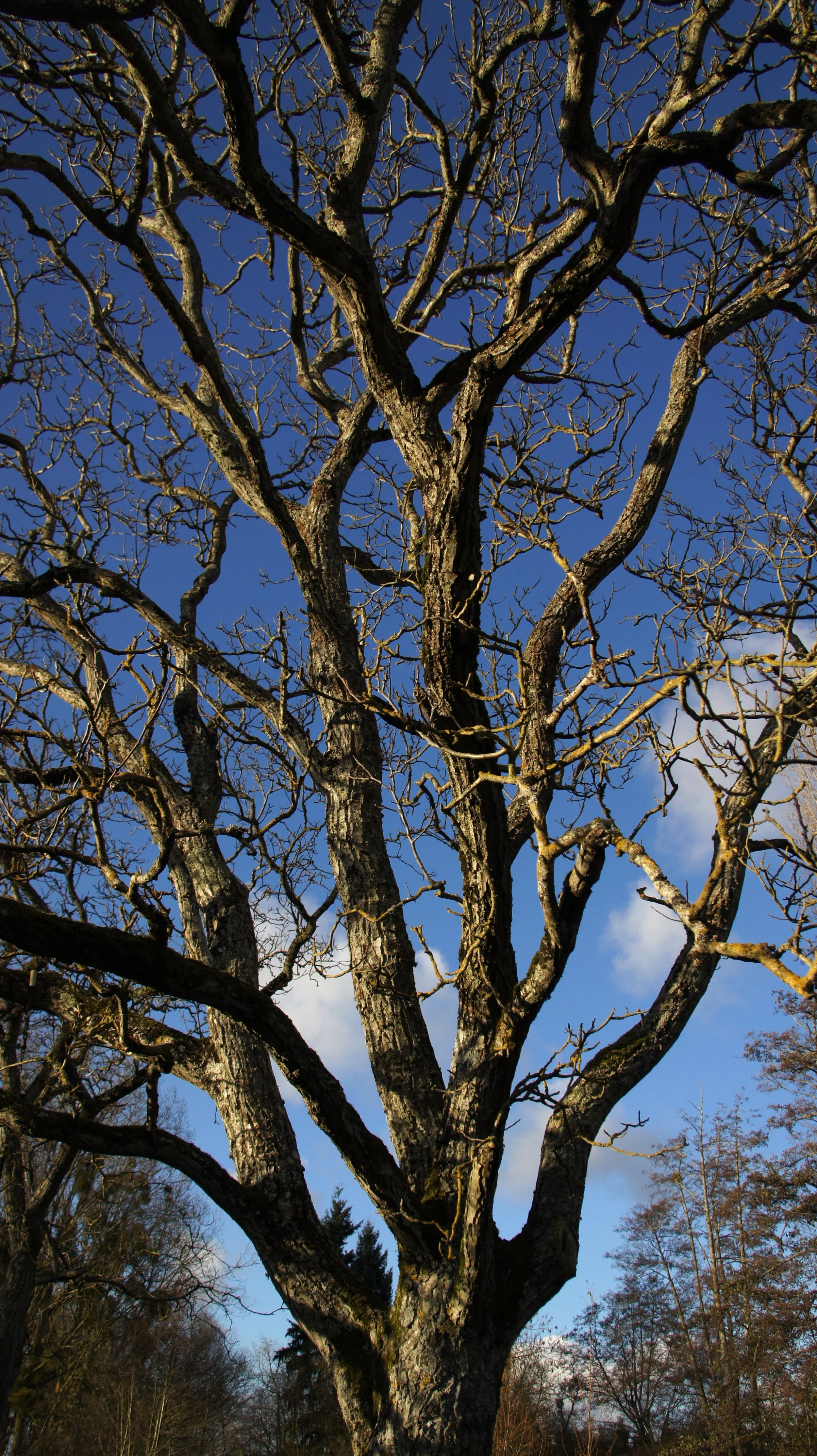 DSC04722.JPG