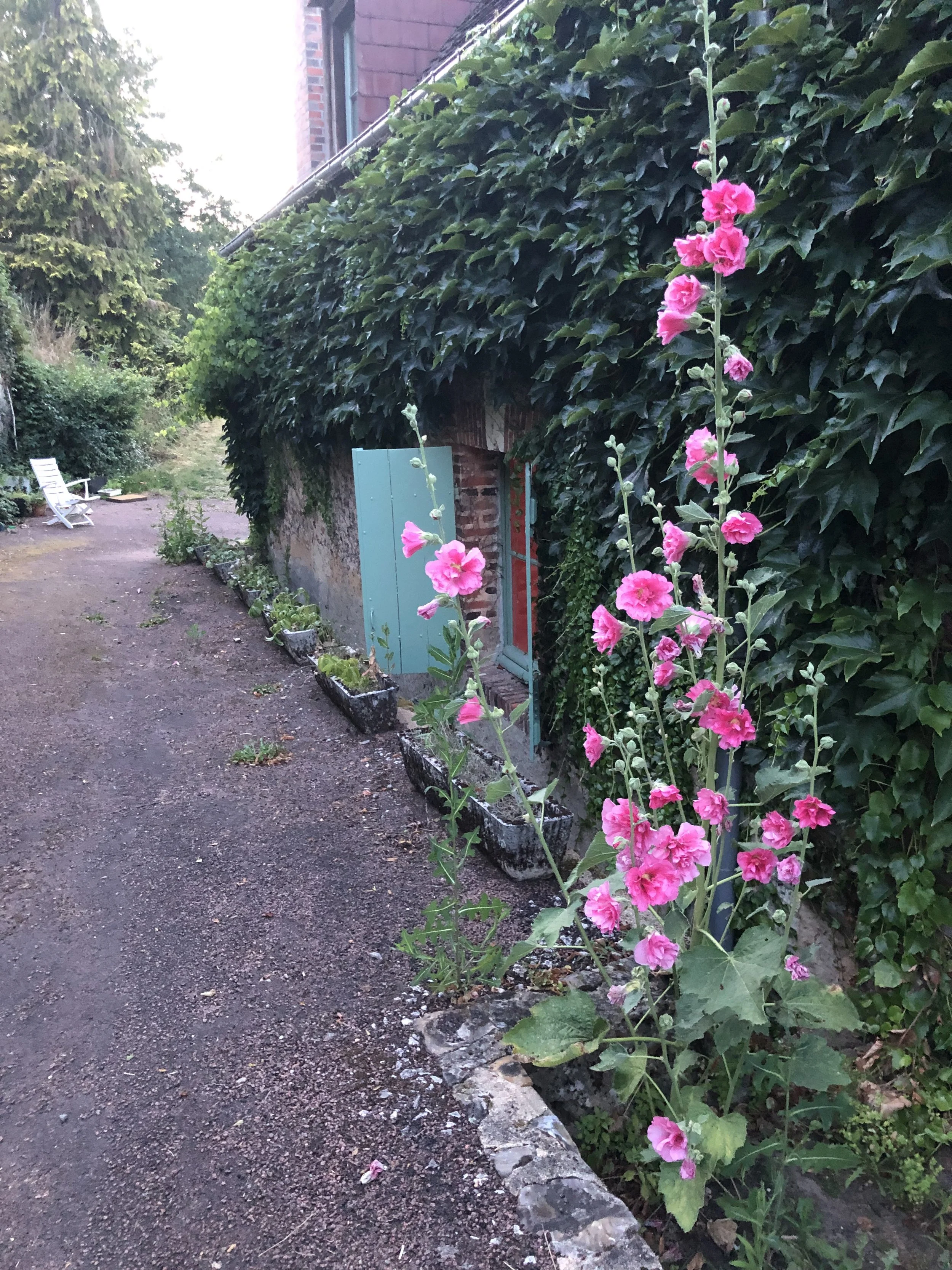 IMG_8563.jpeg