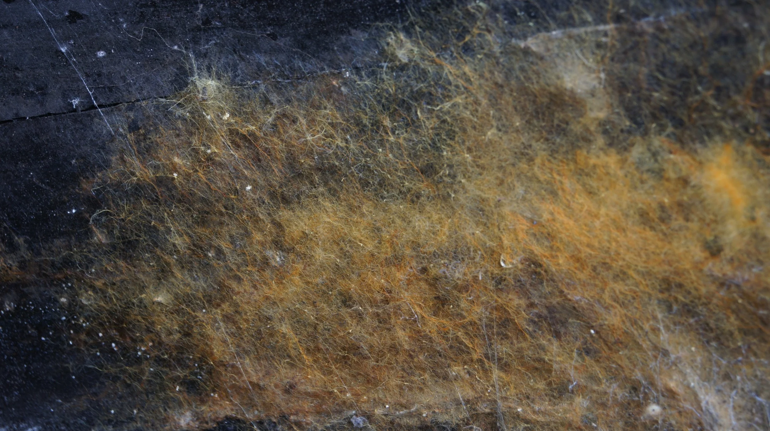 DSC05554.JPG
