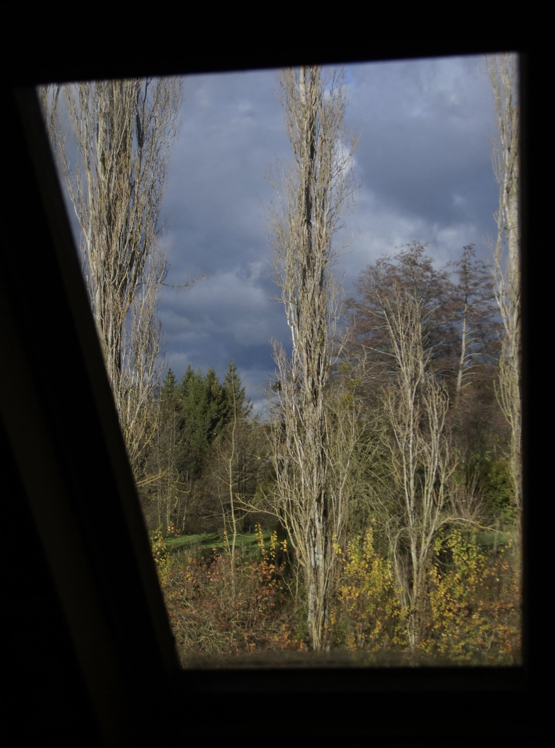 DSC04666.JPG