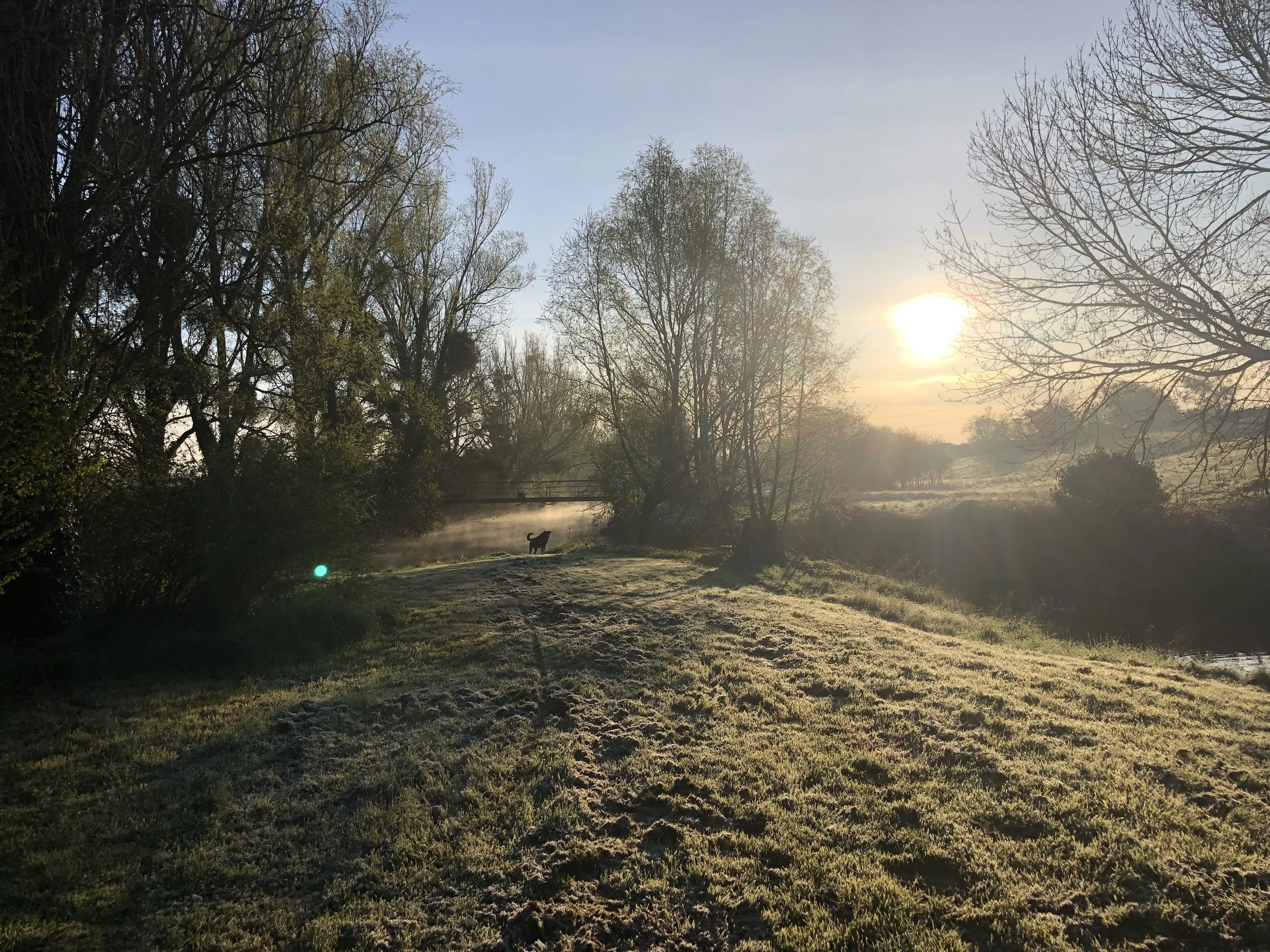 IMG_3909.jpeg