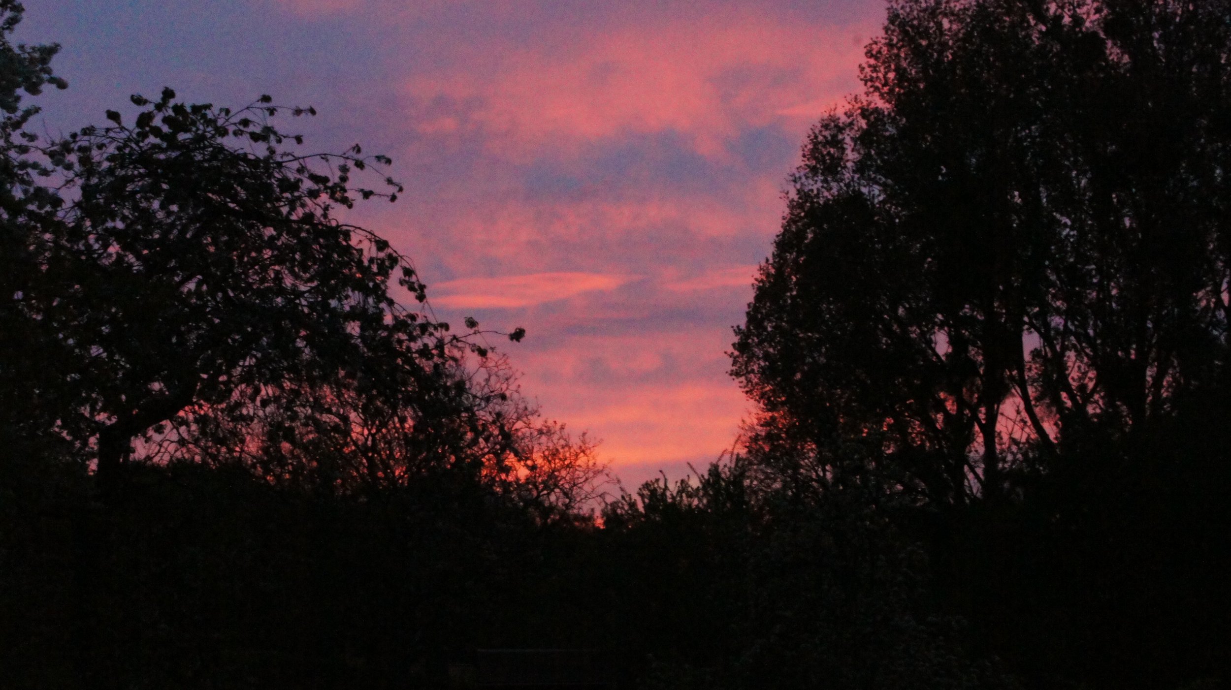 DSC06412.JPG