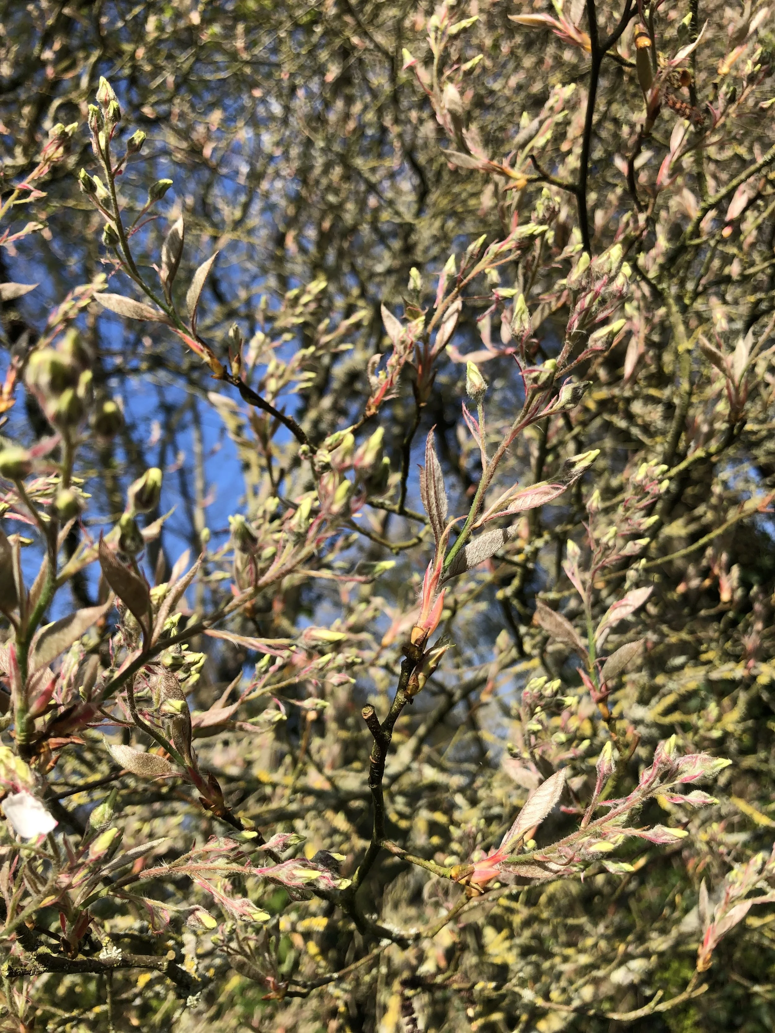 IMG_9276.jpeg