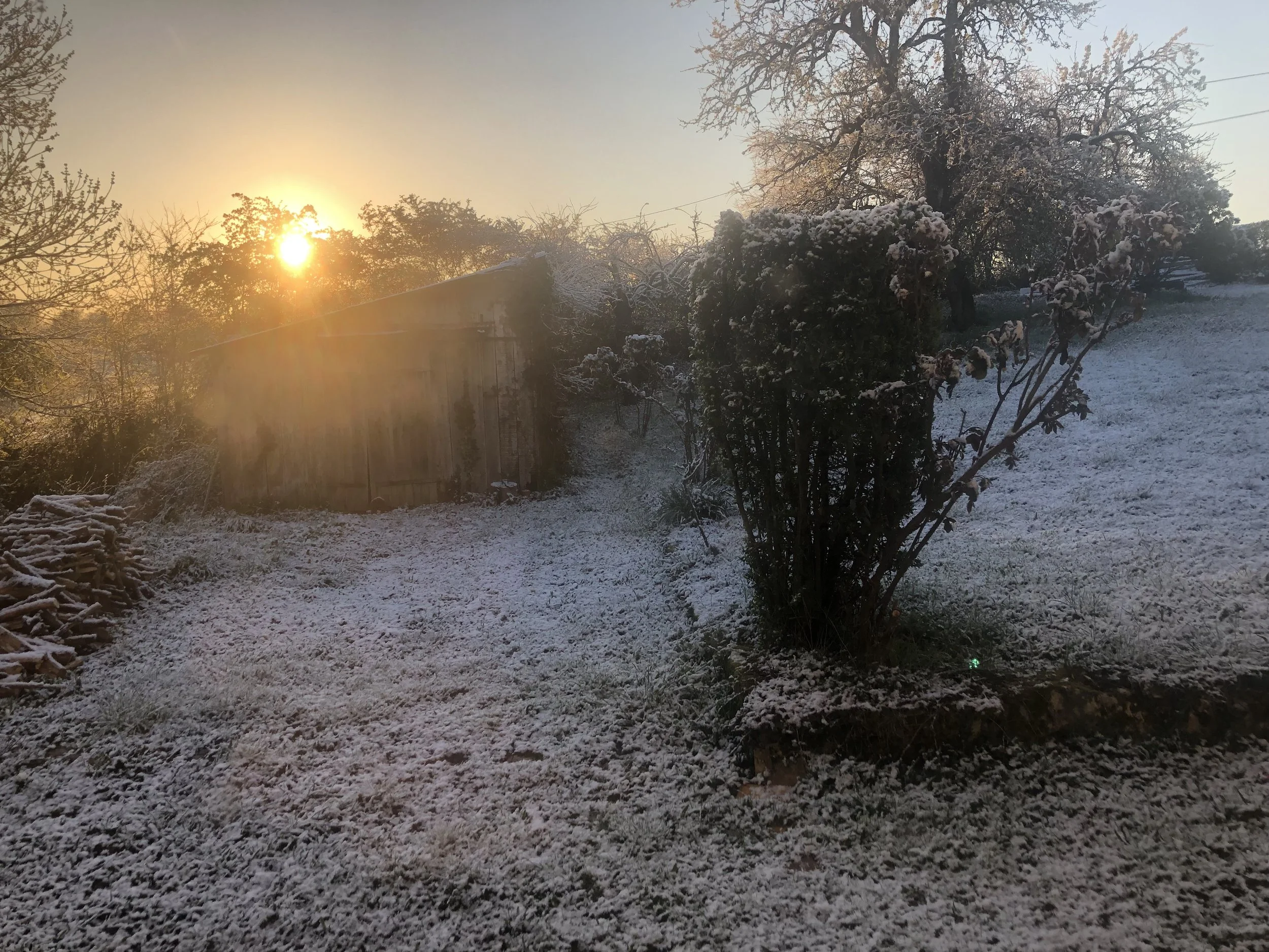 IMG_3760.jpeg