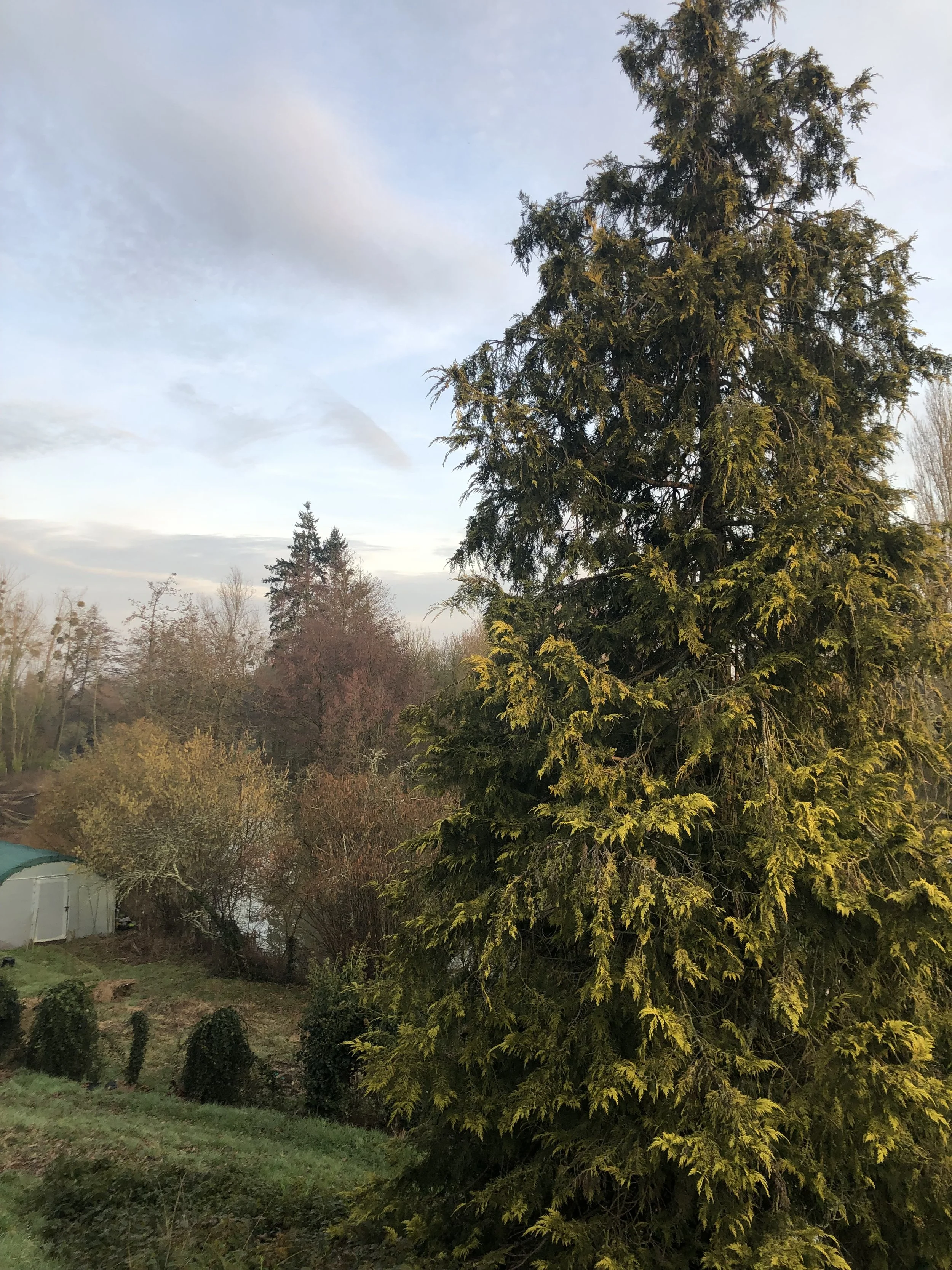 IMG_8693.jpeg