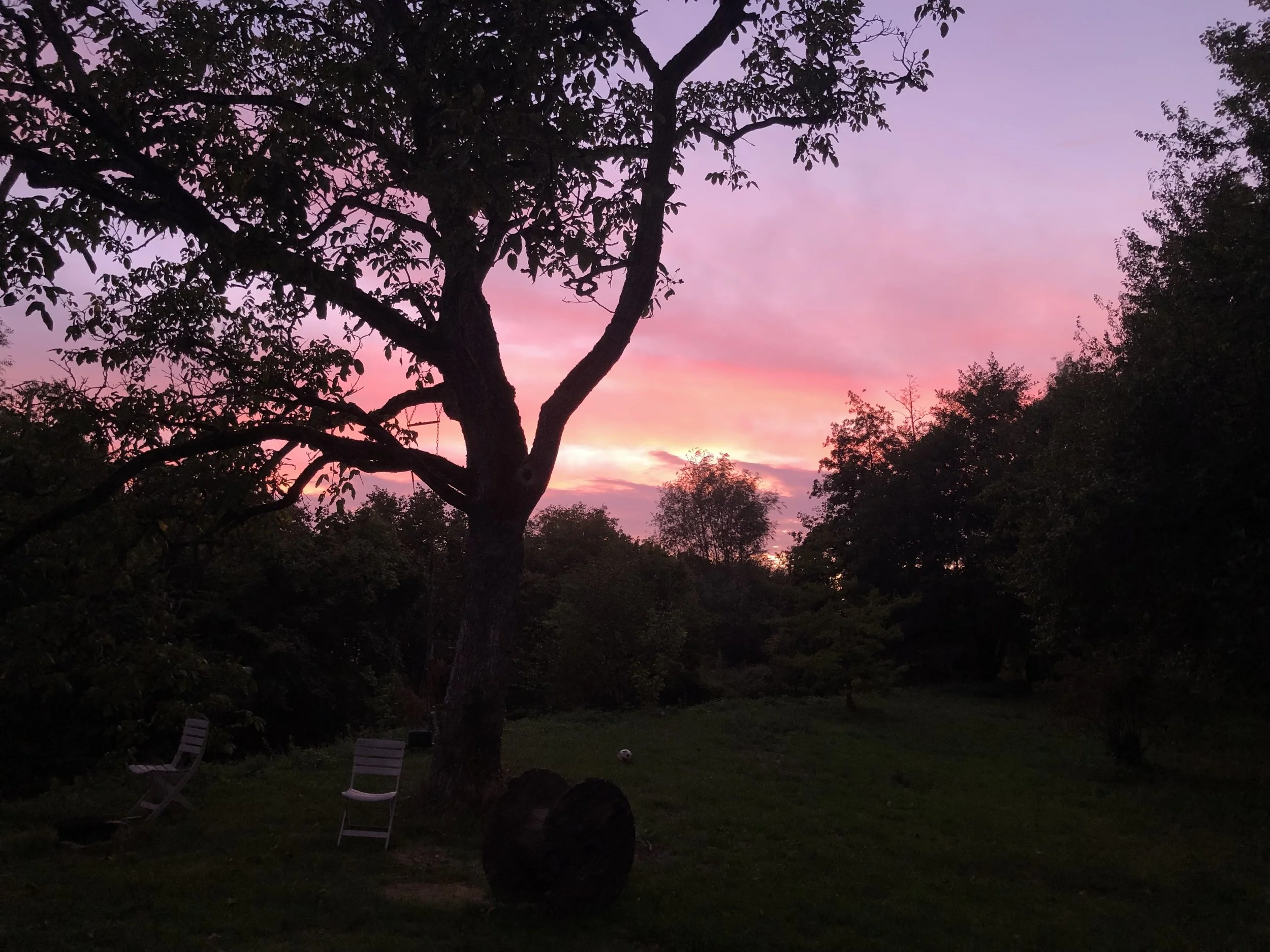 IMG_3828.jpeg