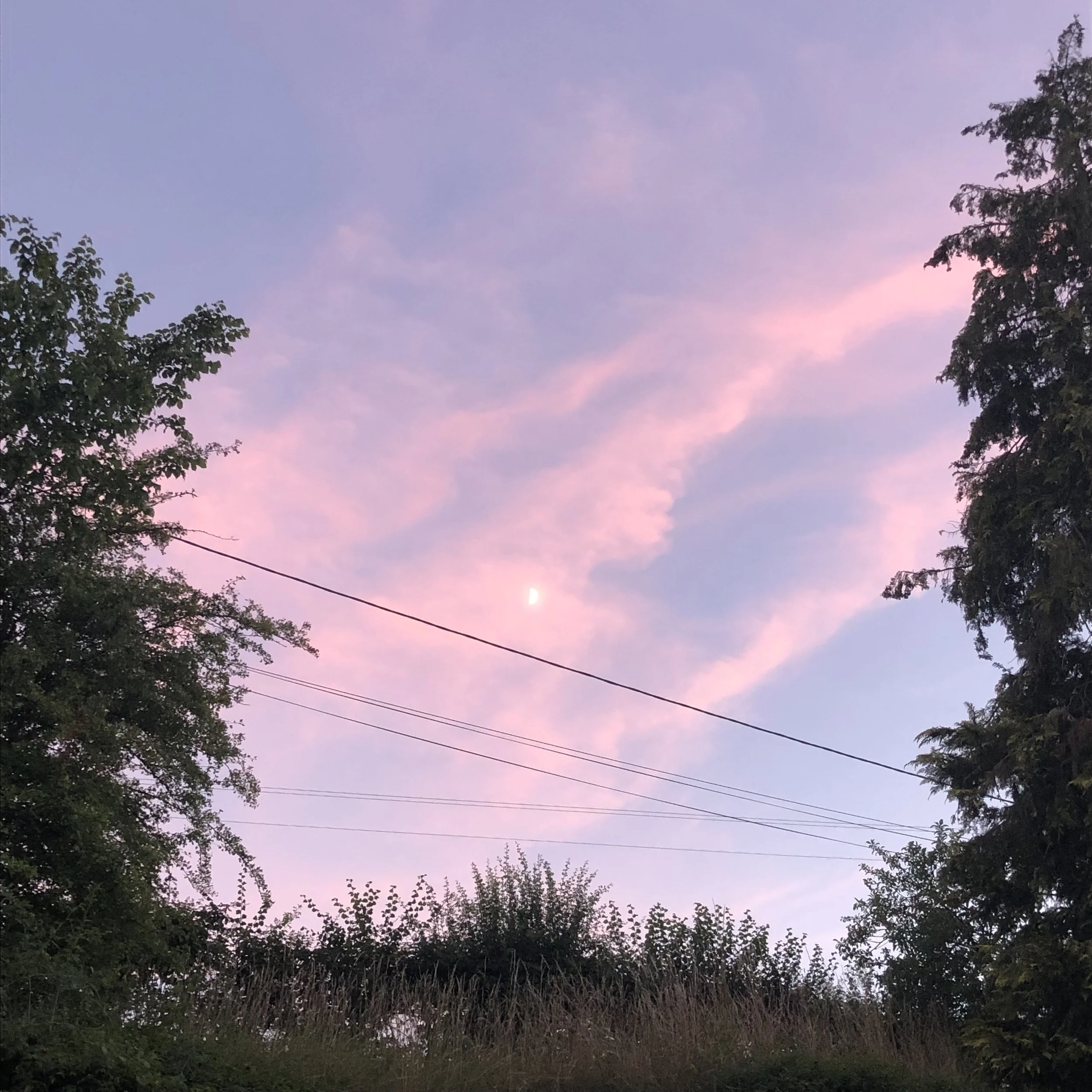 IMG_8242.jpeg