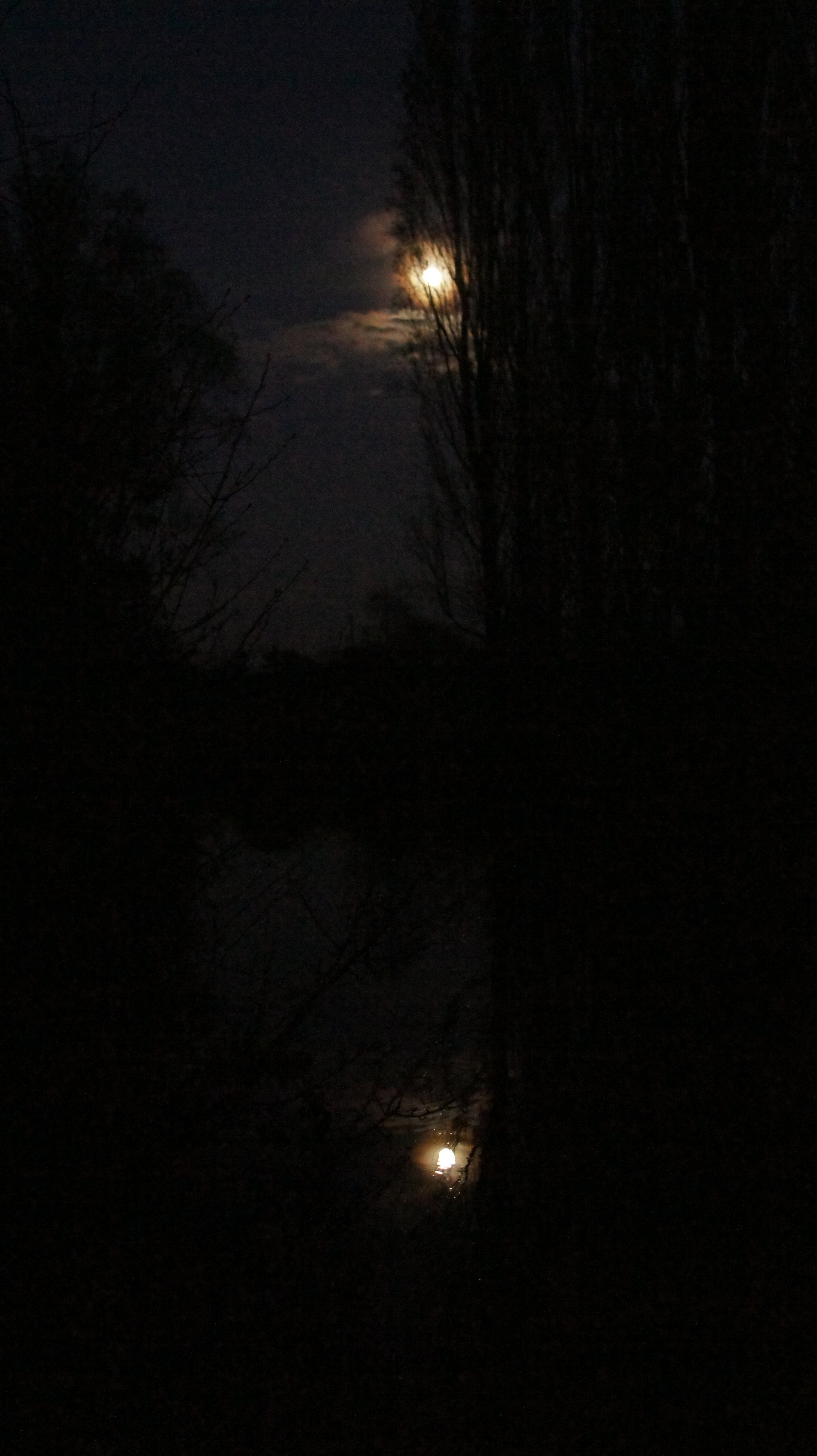 DSC09425.JPG