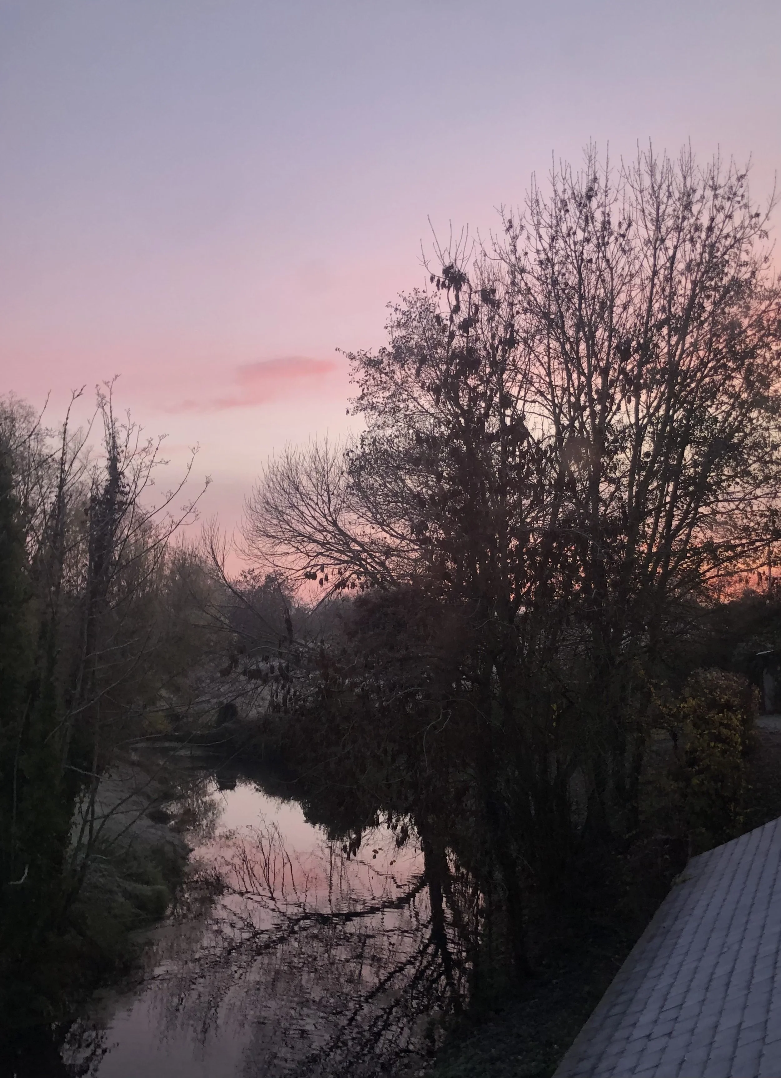 IMG_5639.jpeg