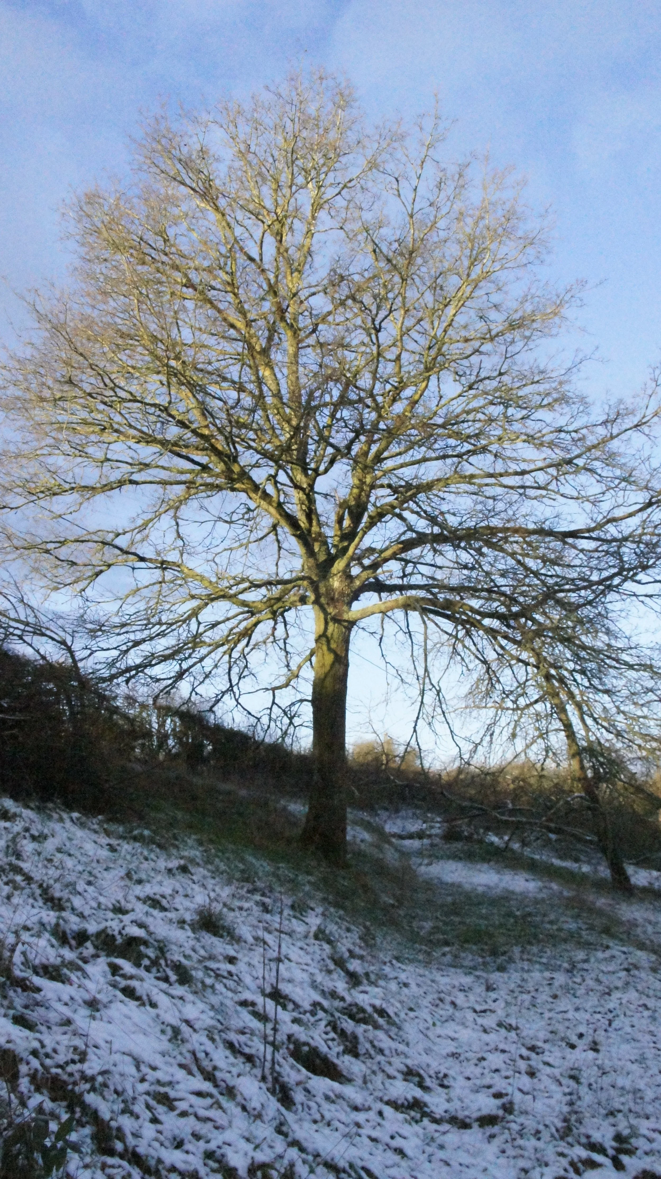DSC06789.JPG