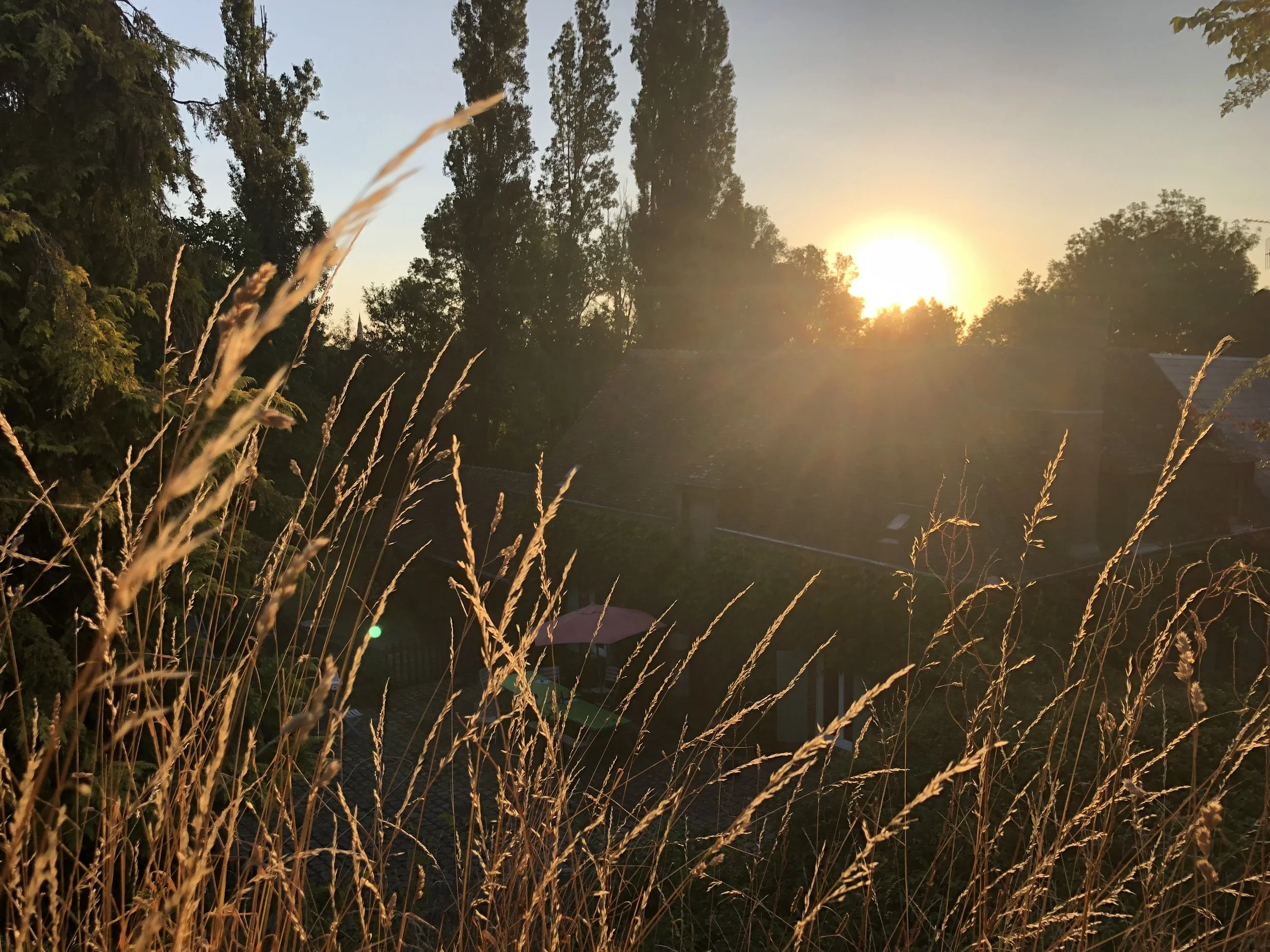 IMG_8646.jpeg
