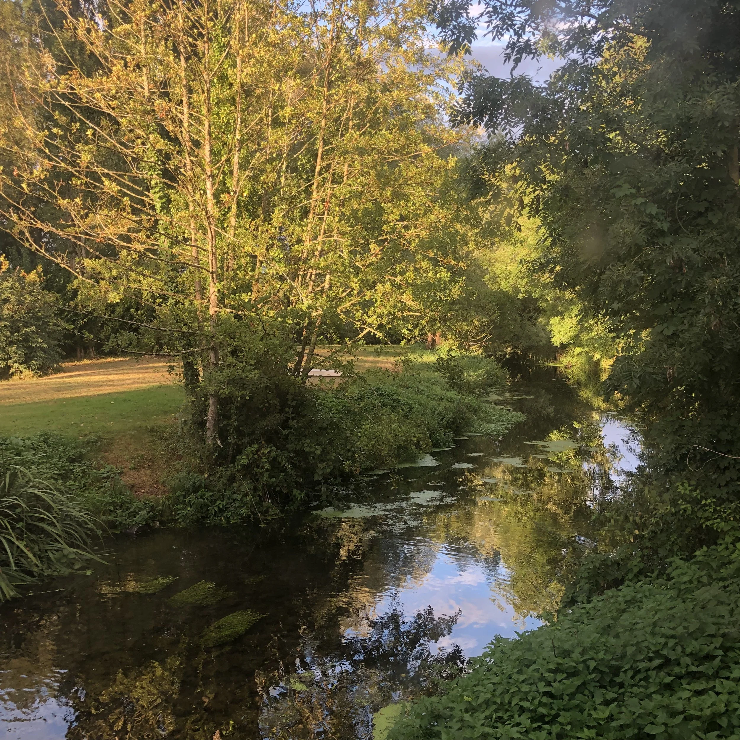 IMG_8413.jpeg