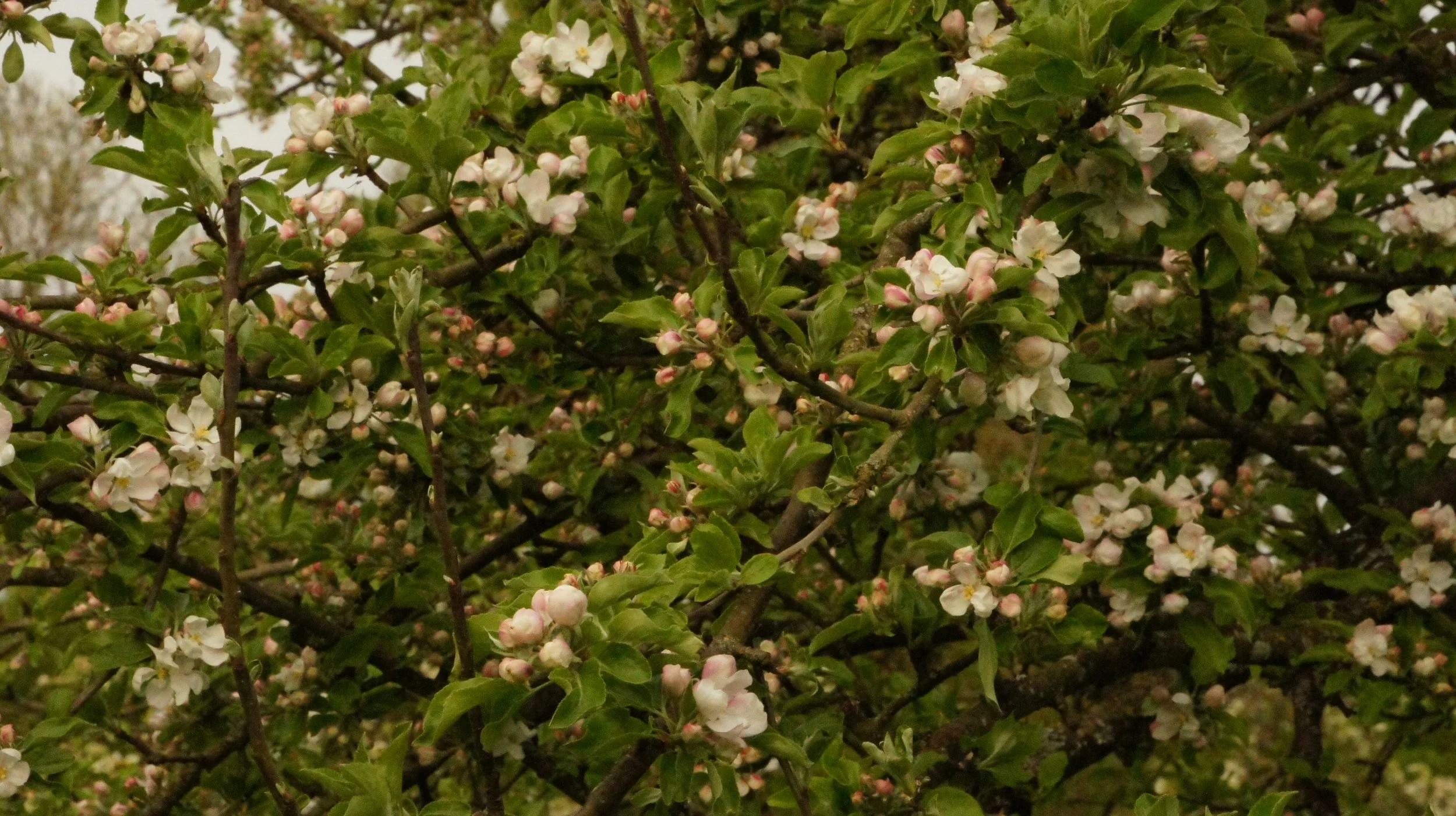 DSC06397.JPG