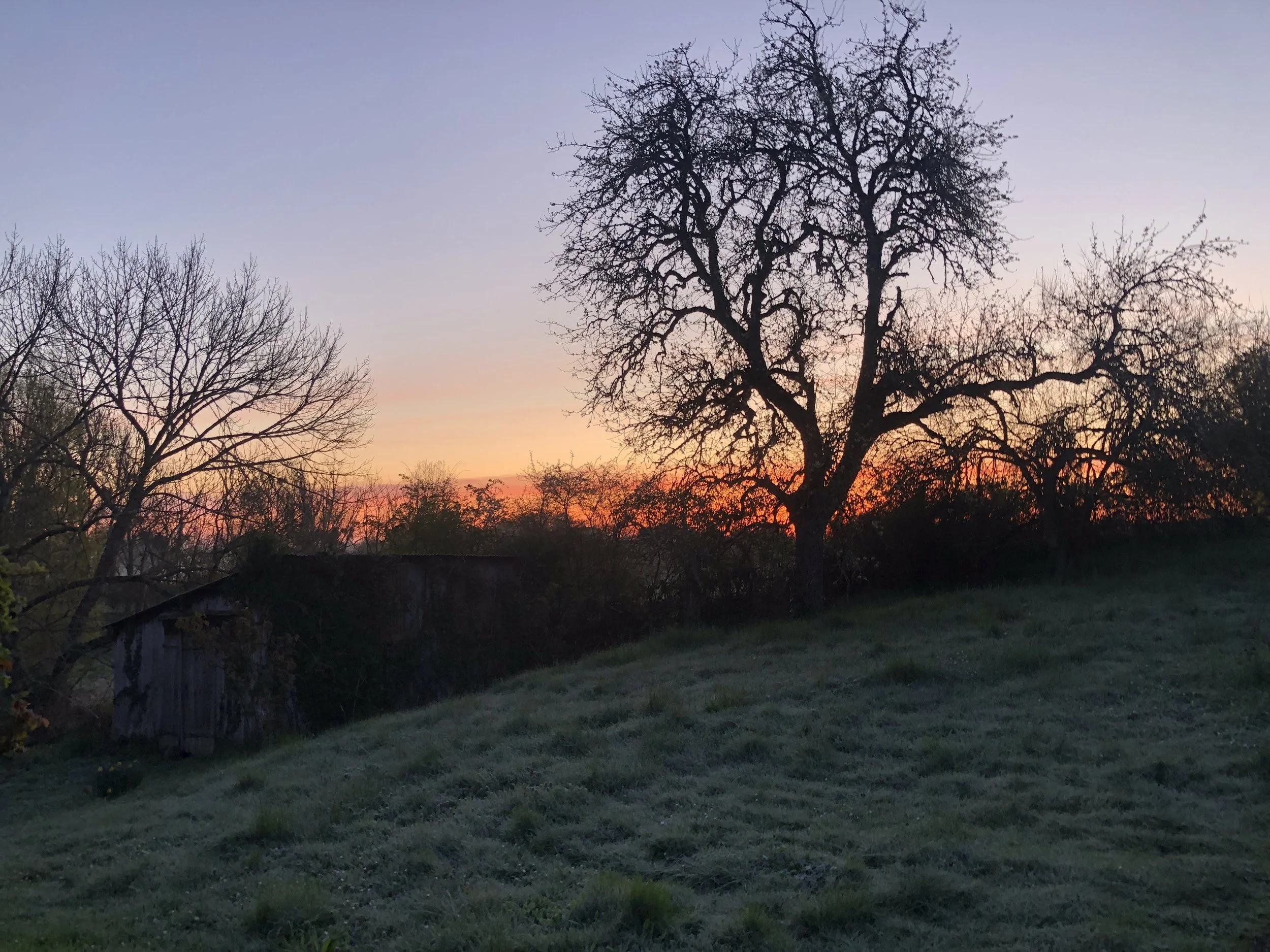 IMG_3903.jpeg