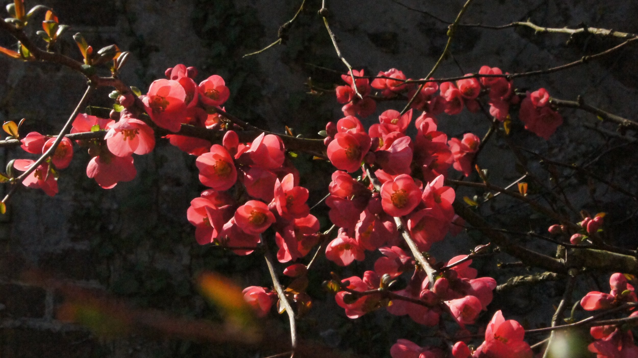 DSC05460.jpg
