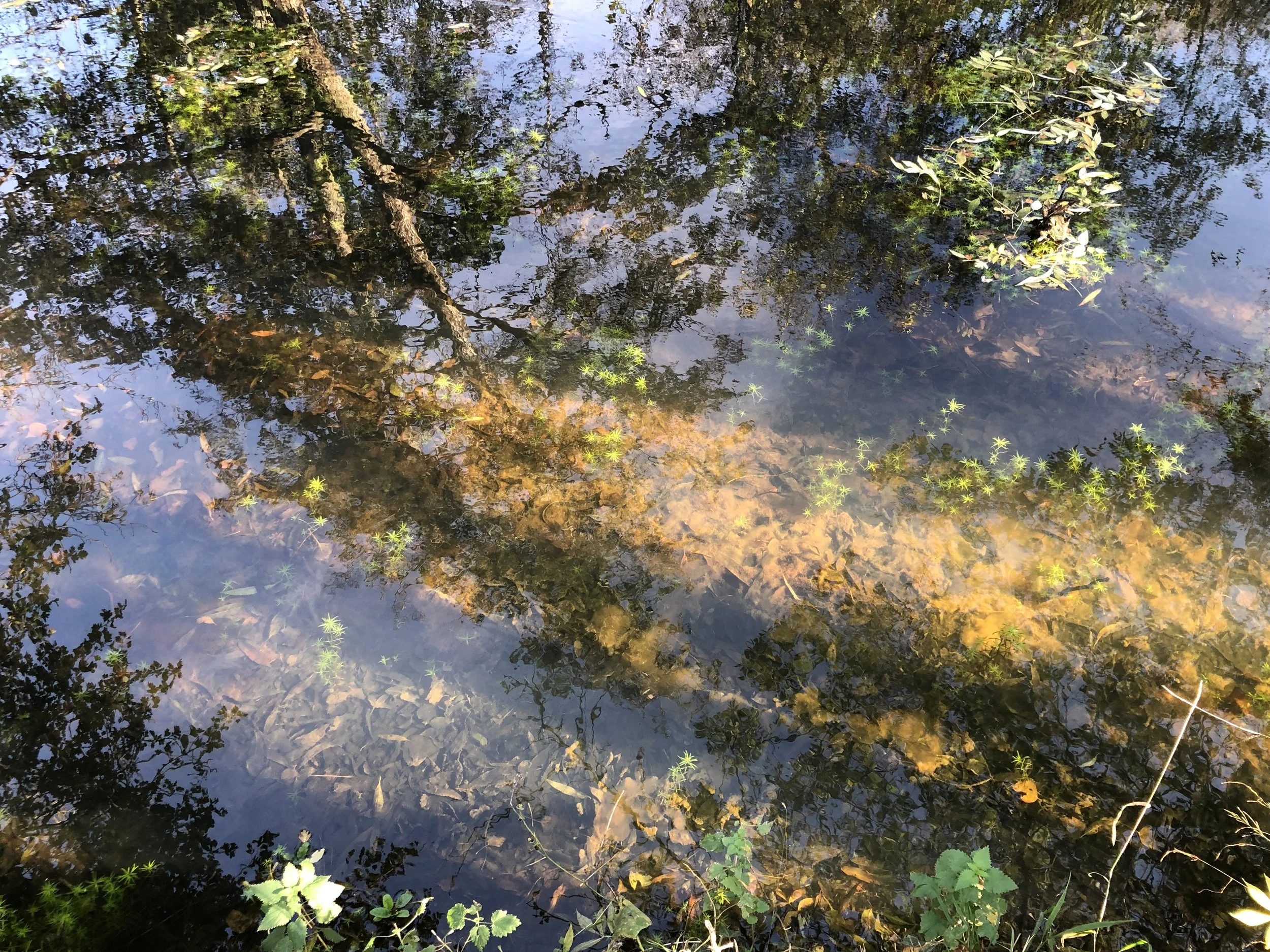 IMG_0397.jpeg