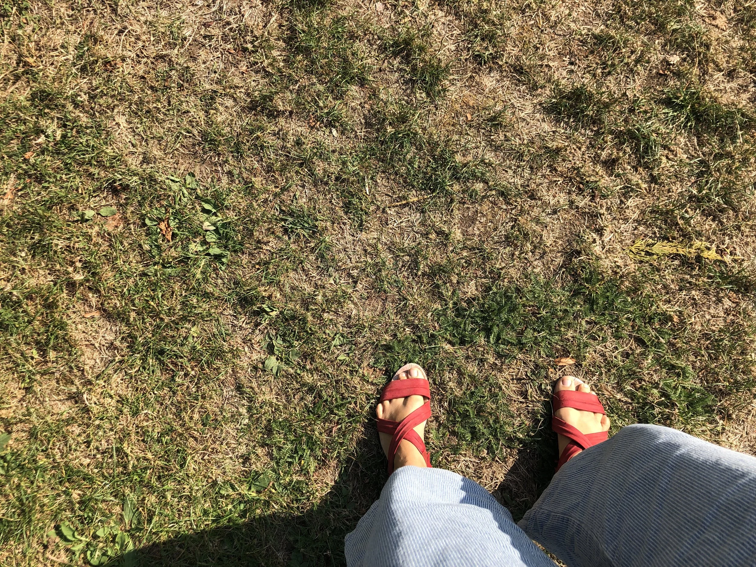 IMG_8980.jpeg