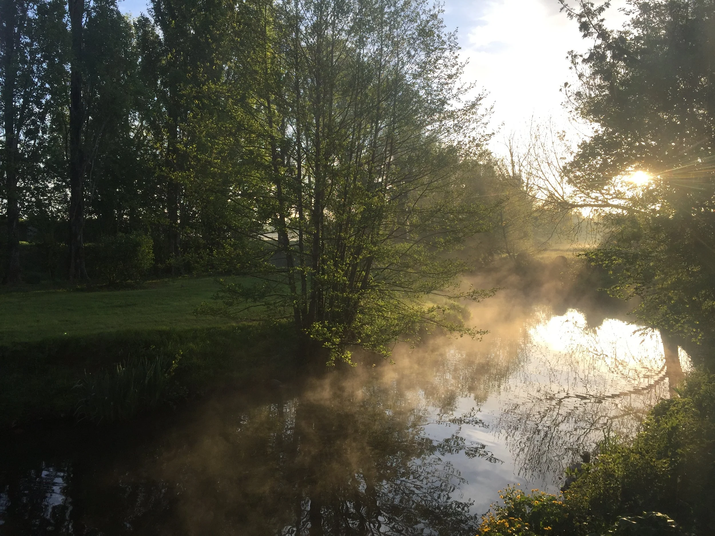 IMG_1913.jpg