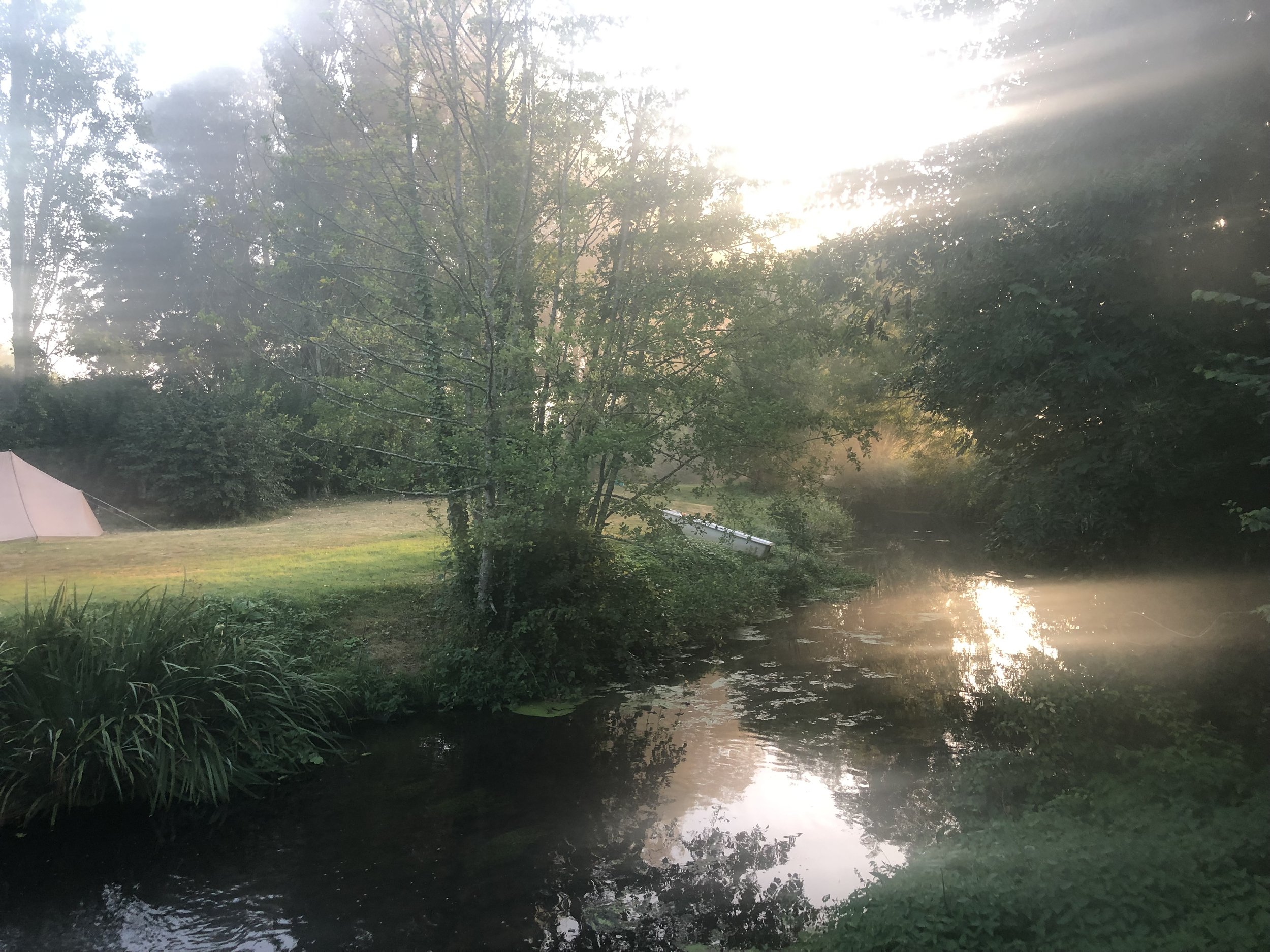 IMG_8236.jpeg