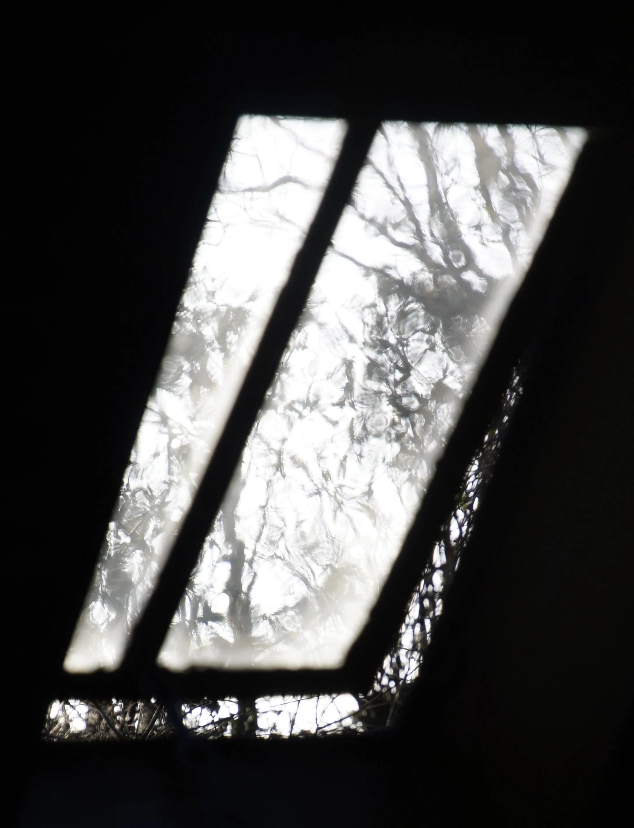 DSC05105.JPG