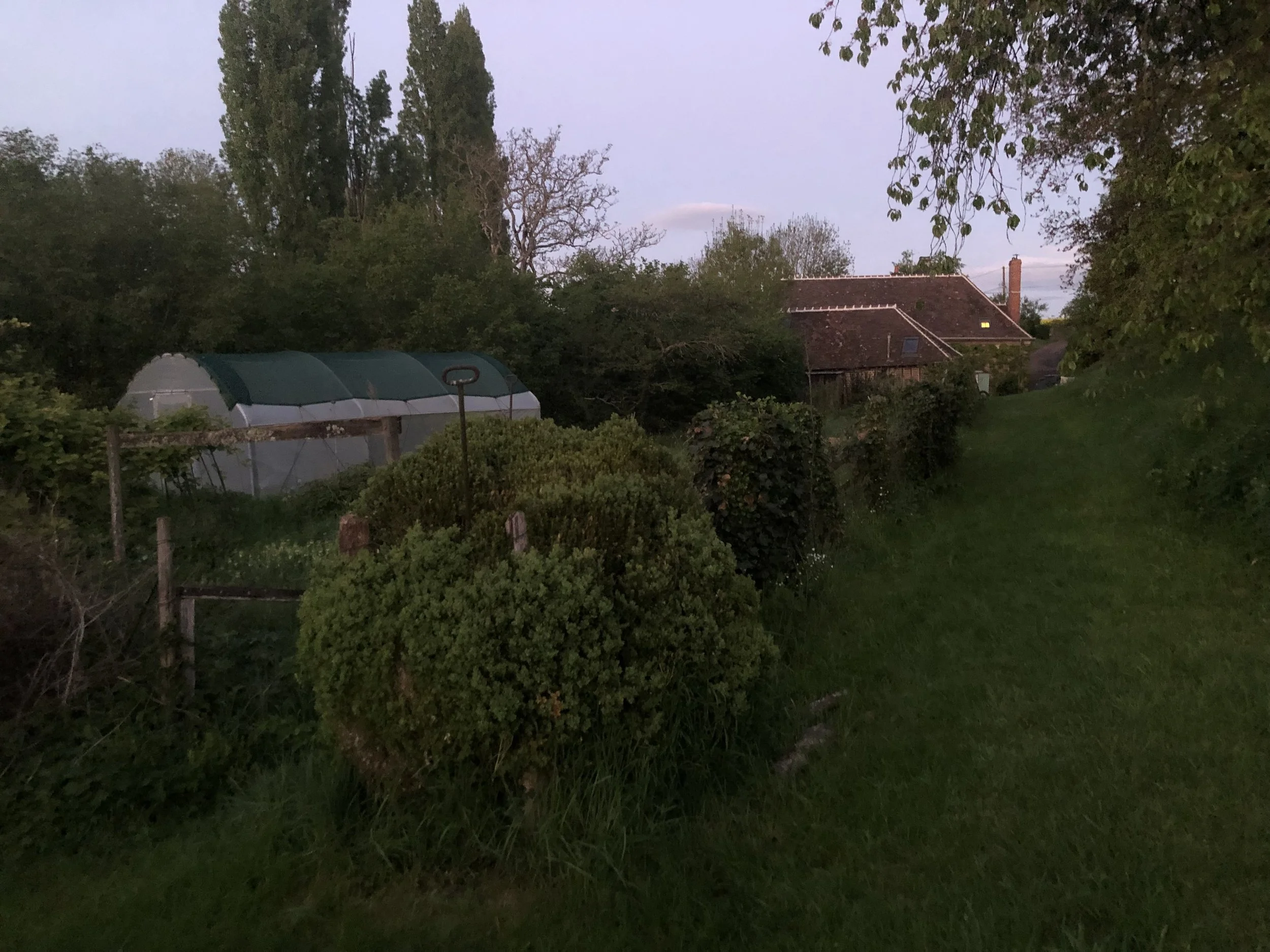 IMG_9949.jpeg