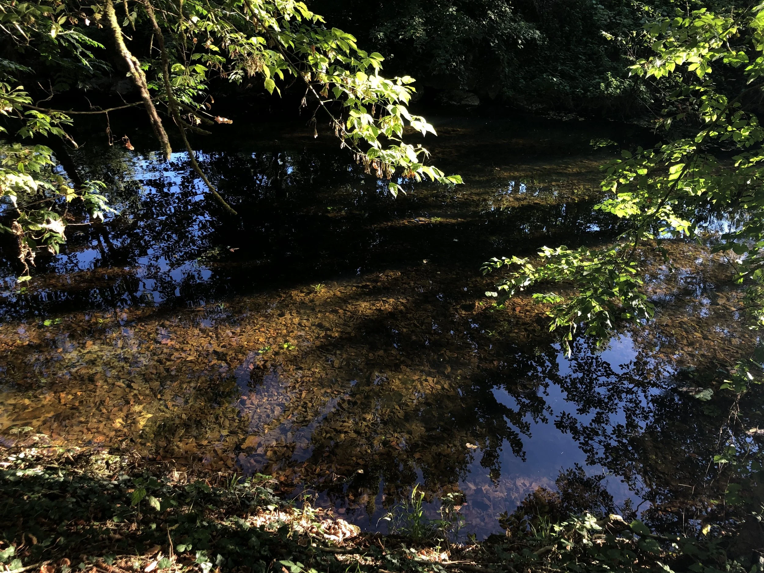 IMG_0174.jpeg
