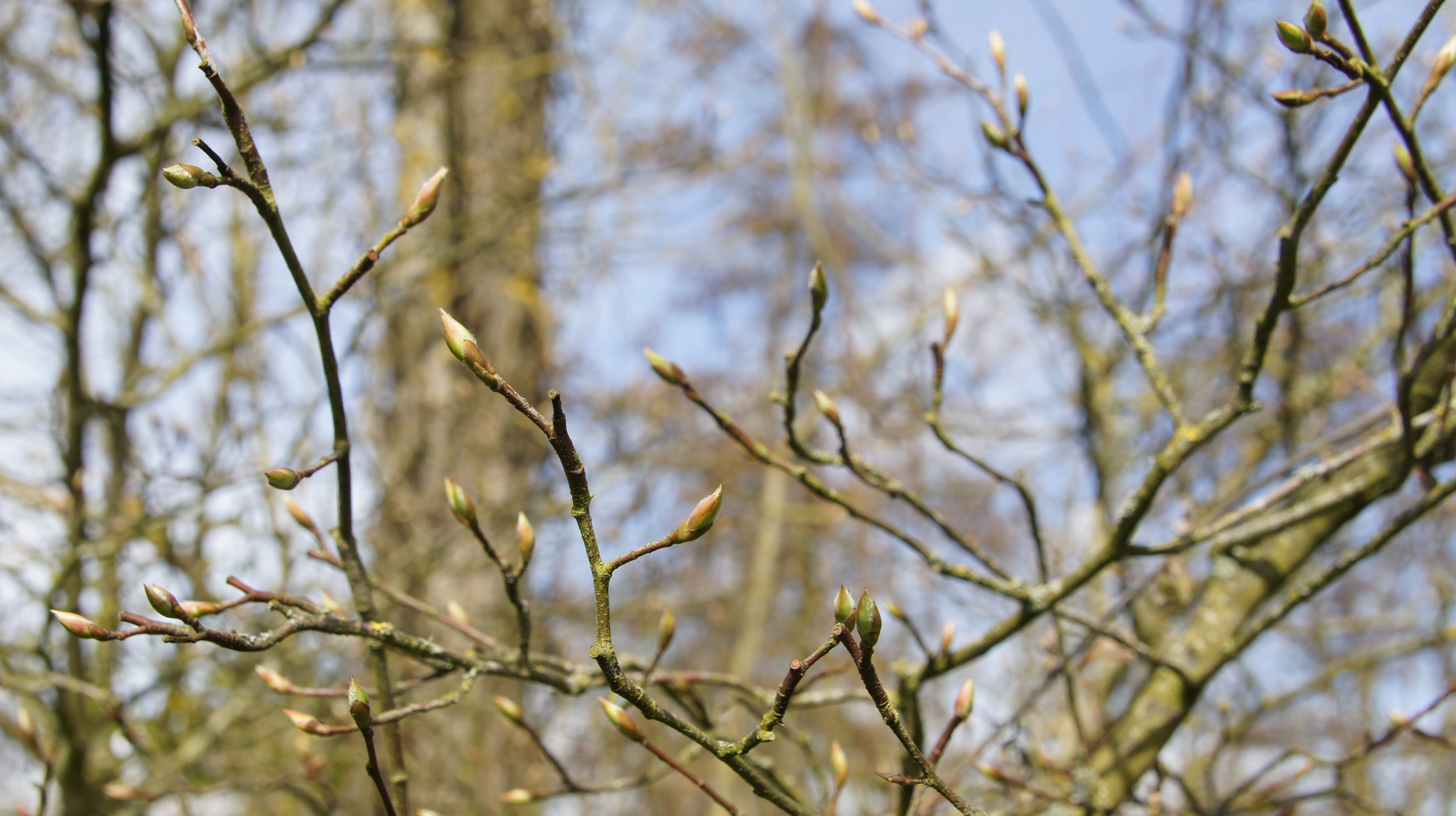 DSC06045.JPG