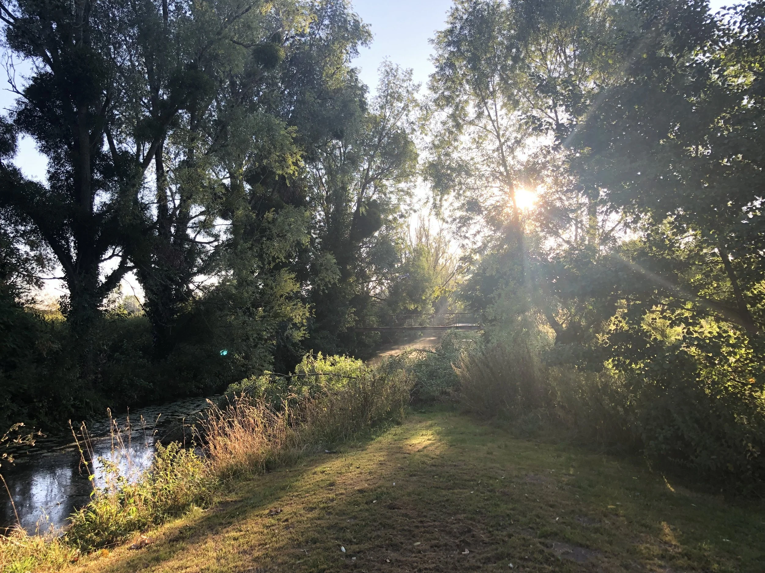 IMG_2329.jpeg