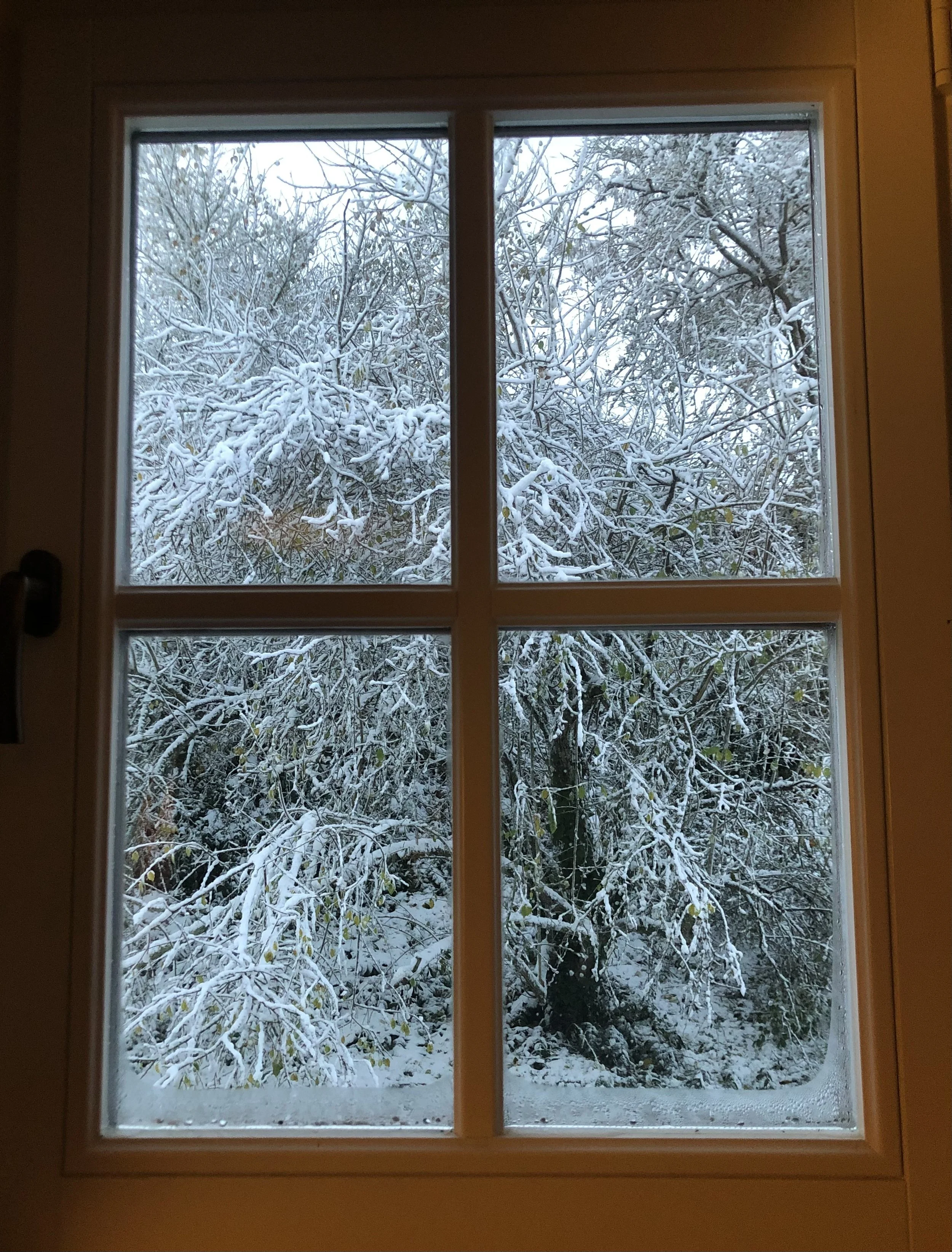 IMG_7016.jpeg