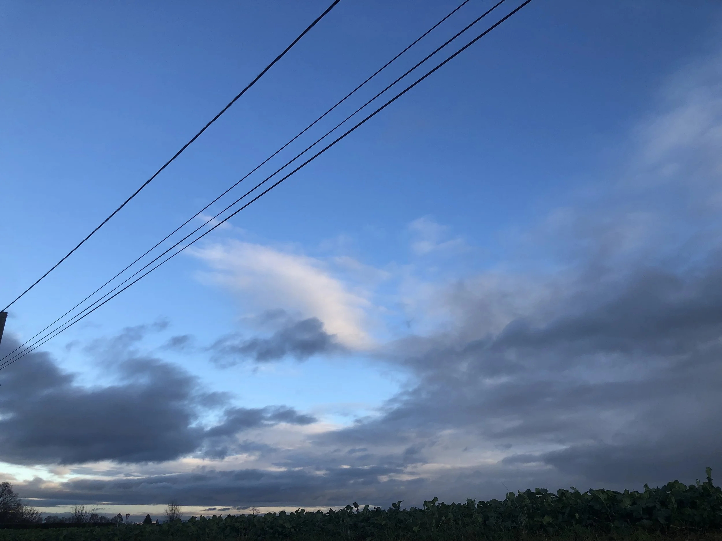 IMG_9585.jpeg