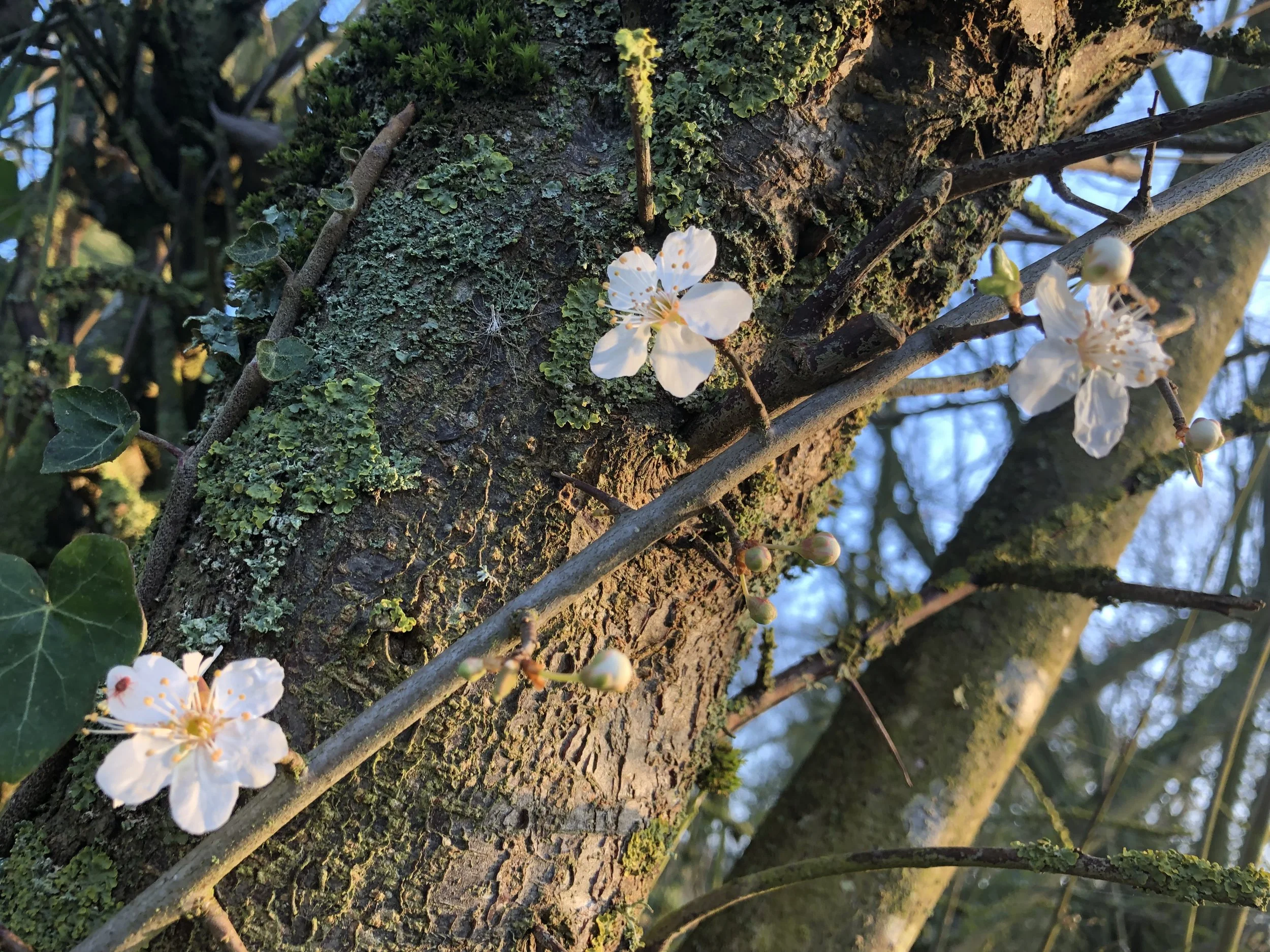 IMG_2813.jpeg