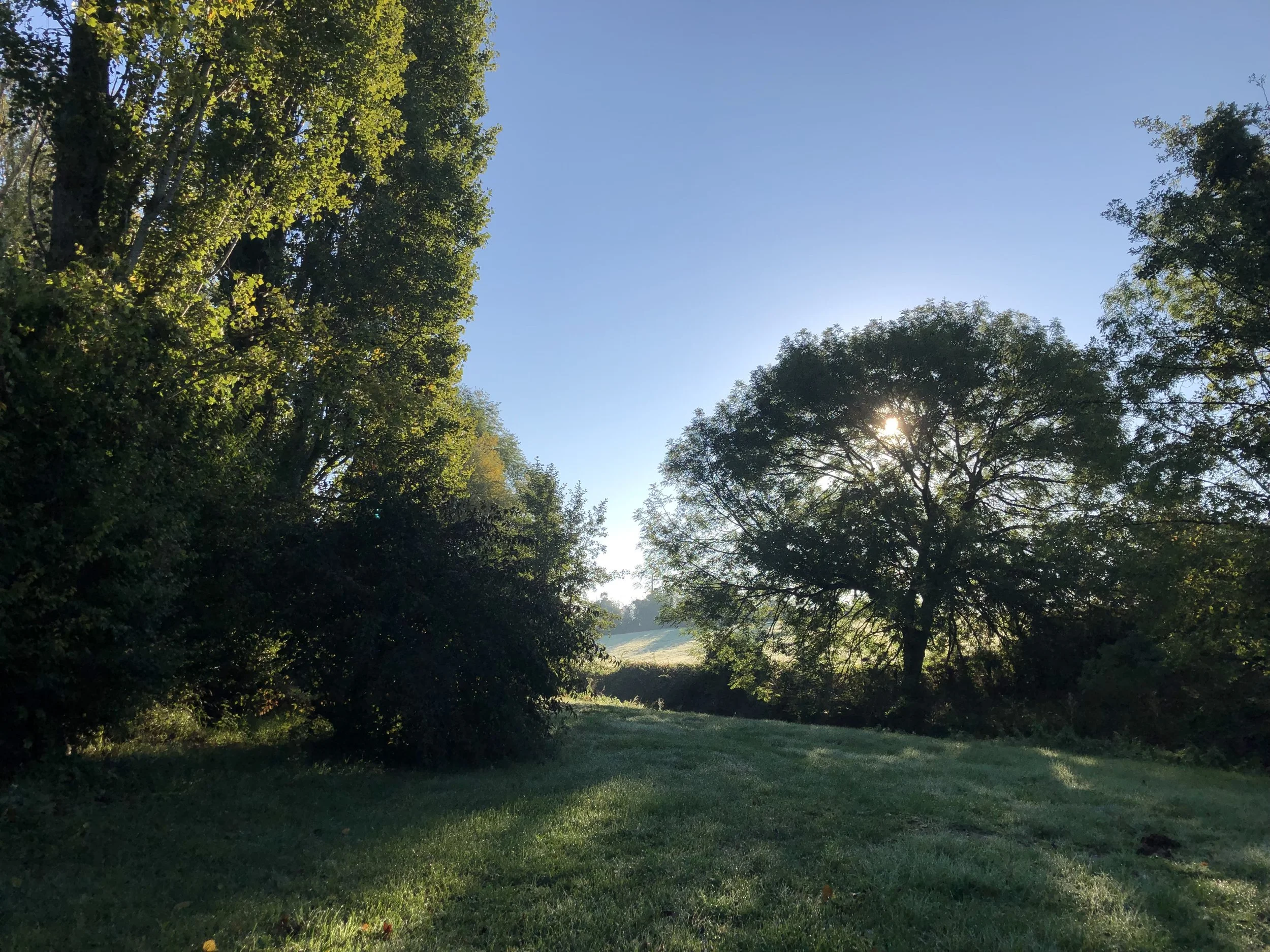IMG_0267.jpeg